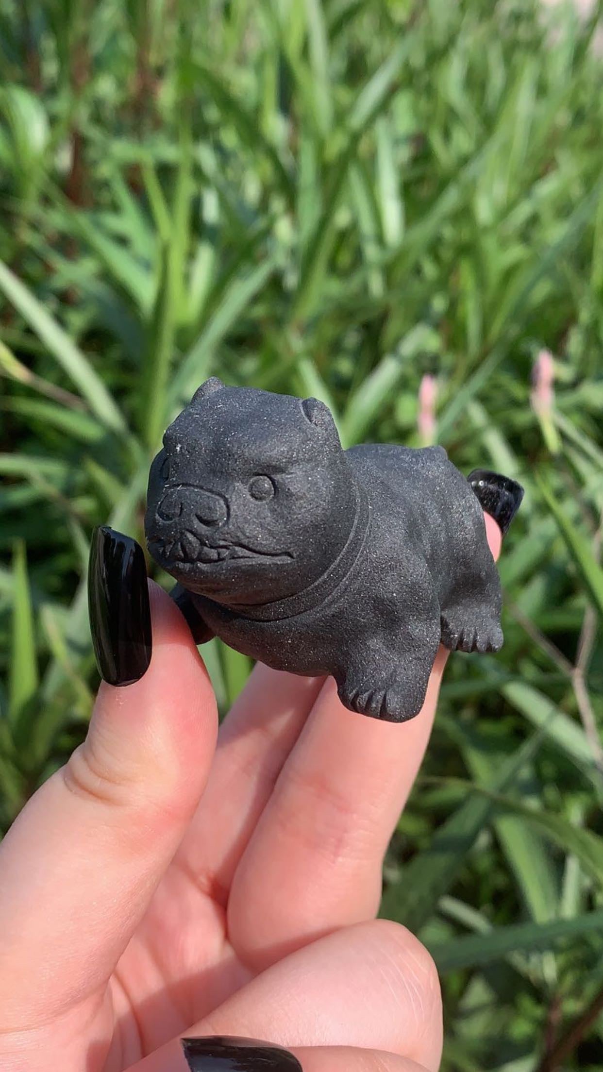 Obsidian American Bully