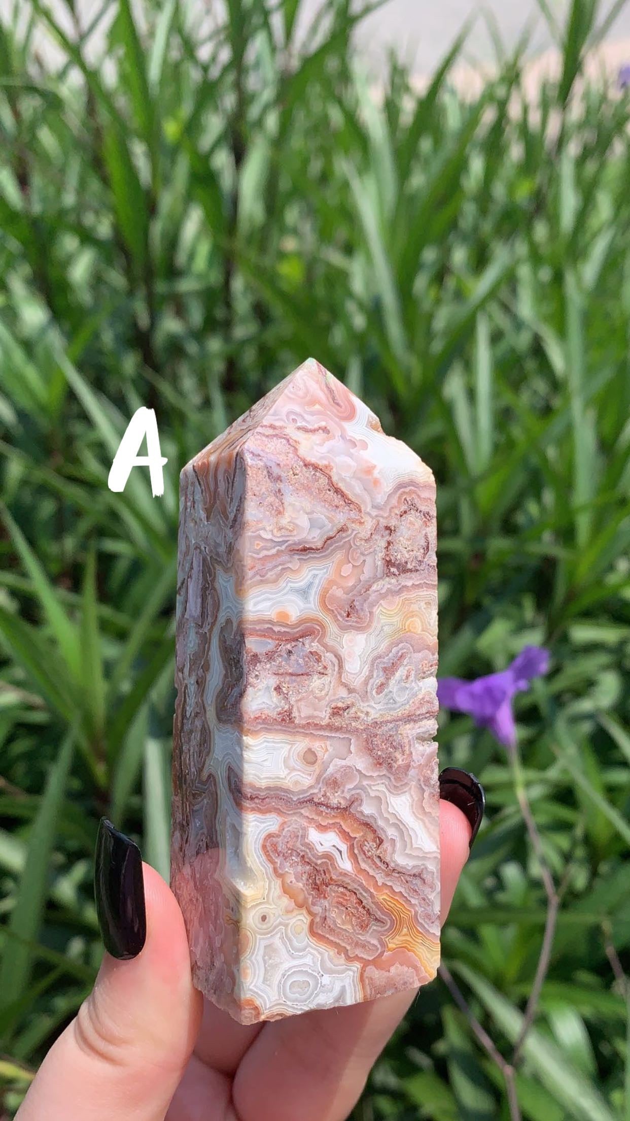 Mexican Crazy Lace Tower