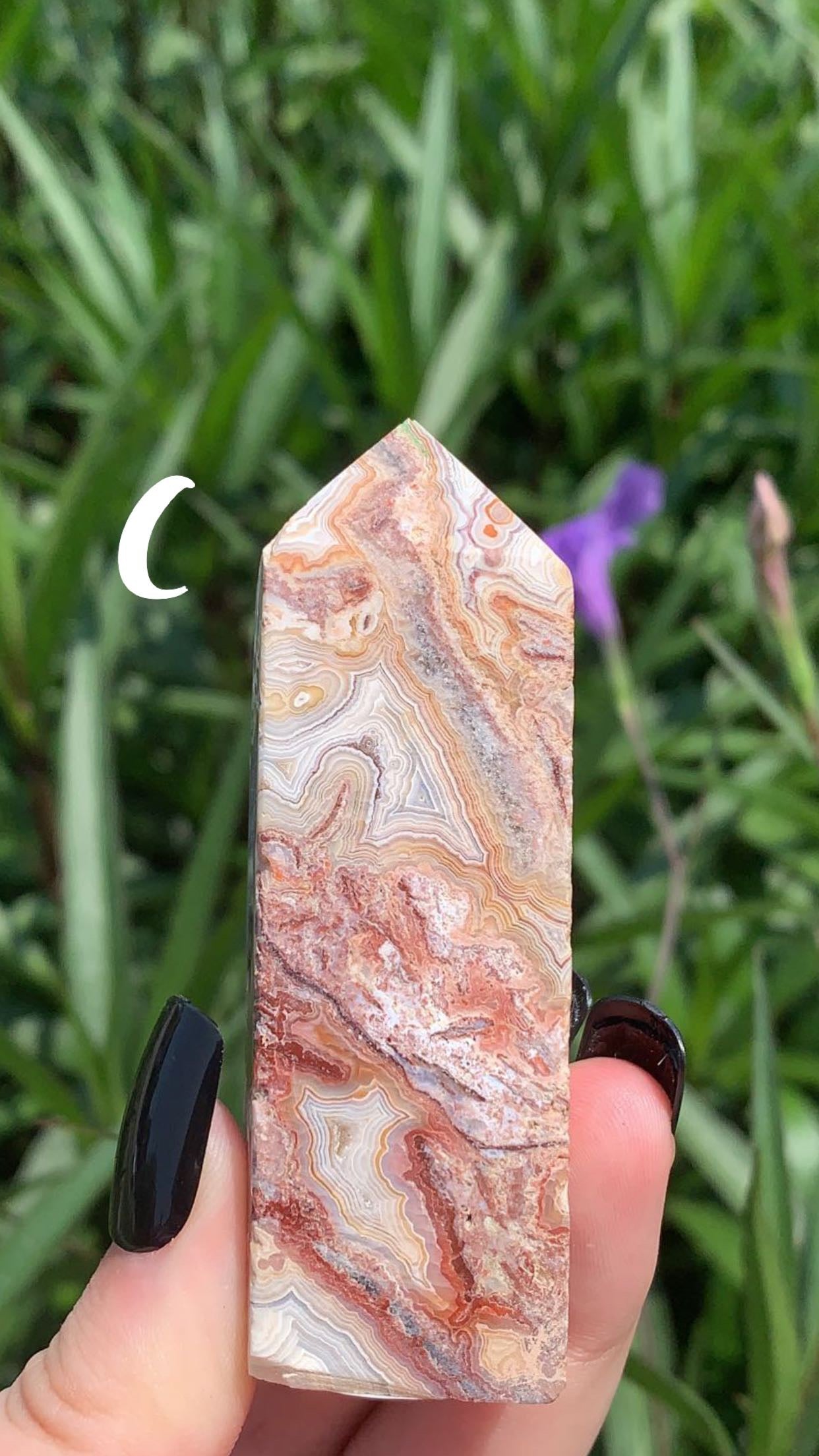 Mexican Crazy Lace Tower