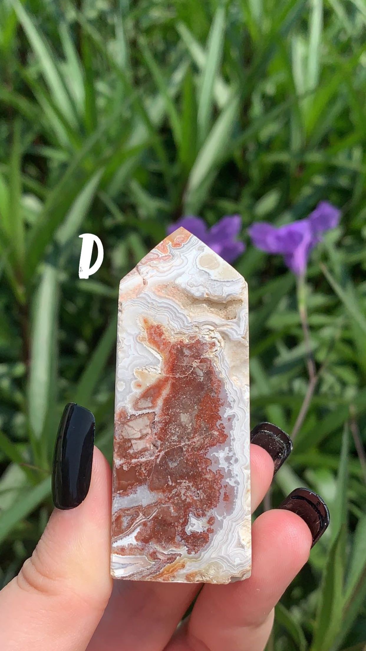 Mexican Crazy Lace Tower