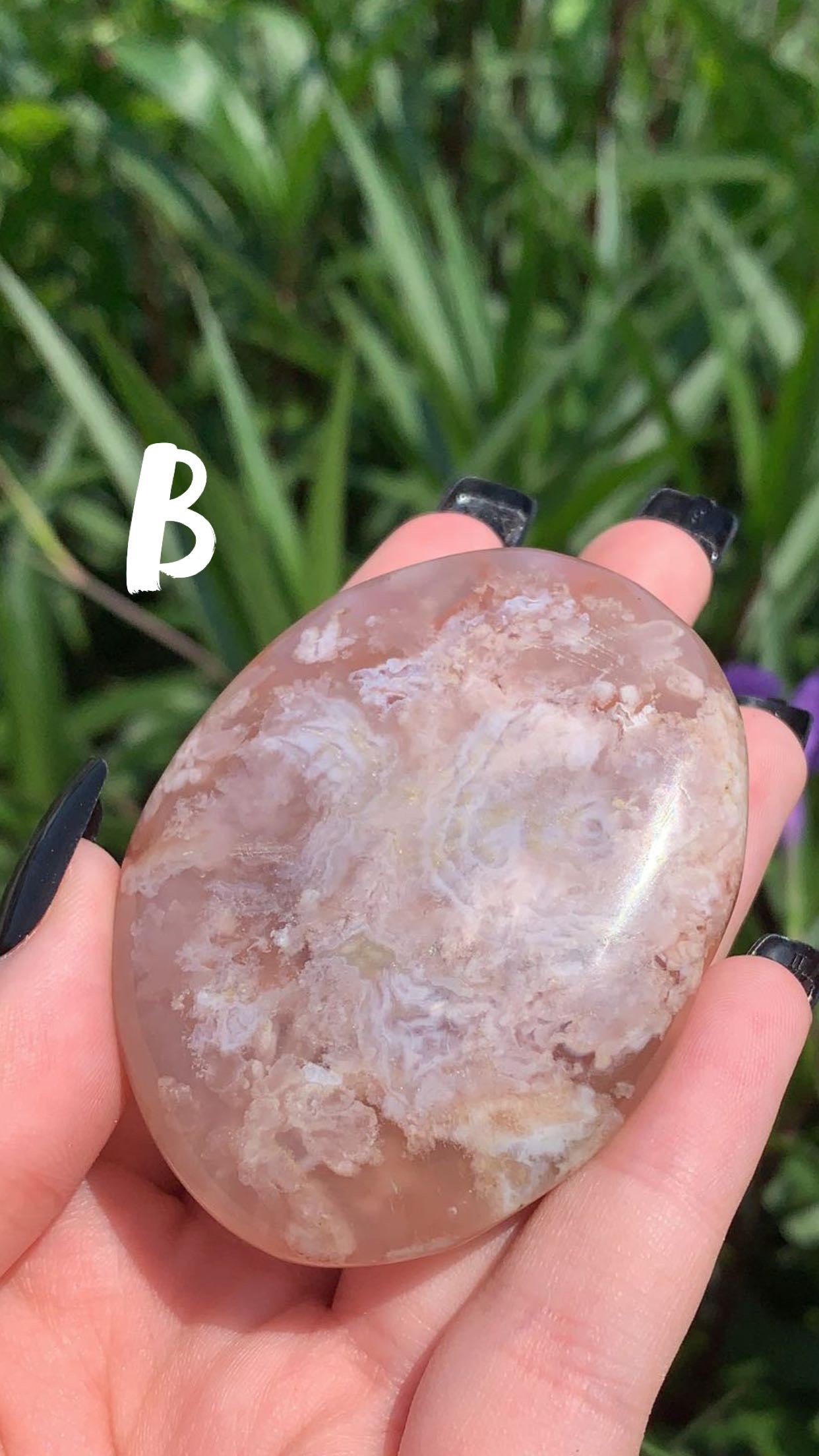 Flower Agate Palm Stone