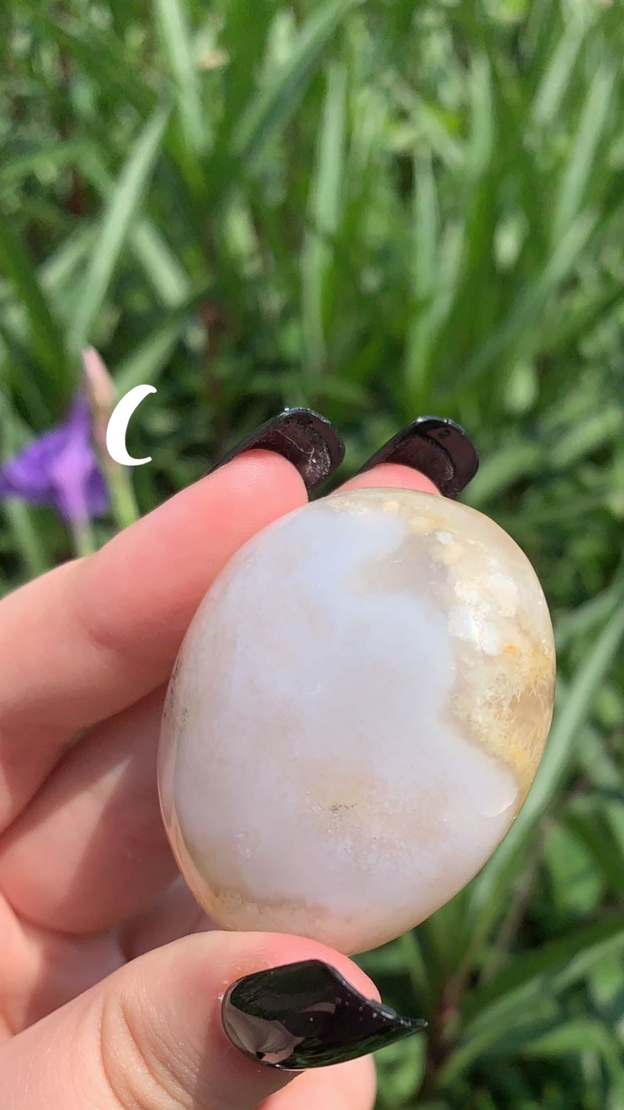Flower Agate Palm Stone