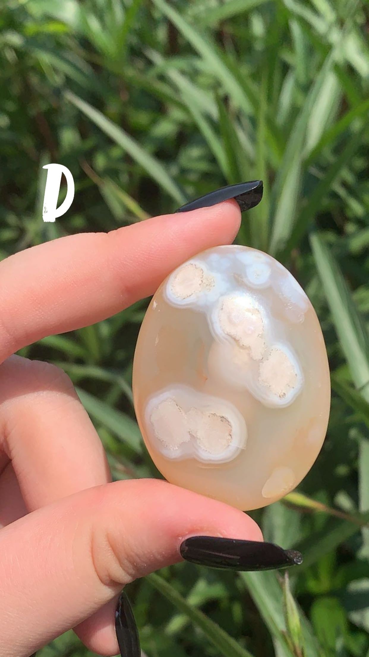 Flower Agate Palm Stone