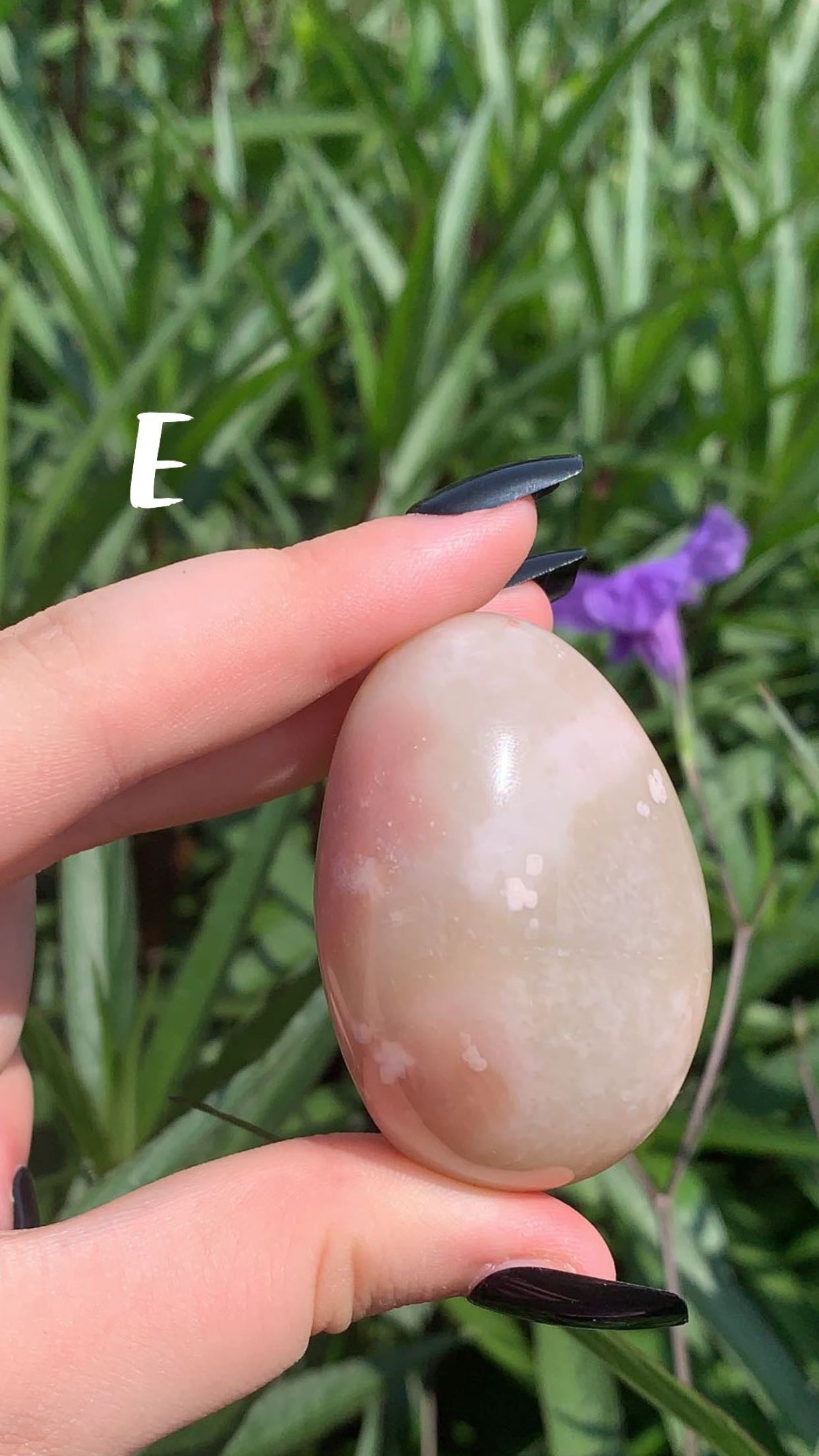 Flower Agate Palm Stone