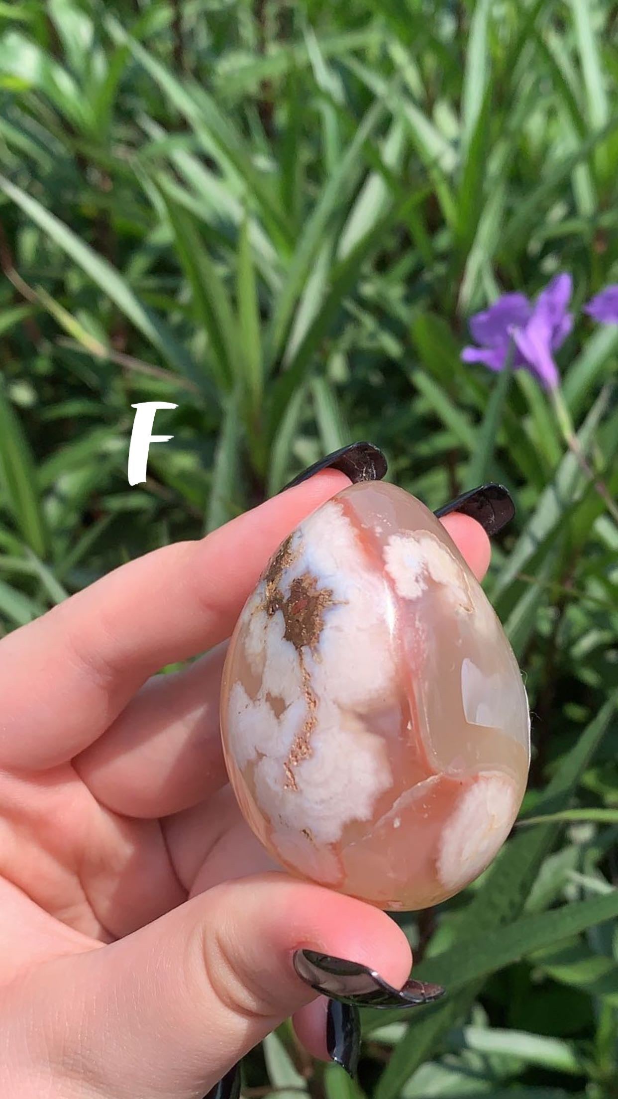 Flower Agate Palm Stone