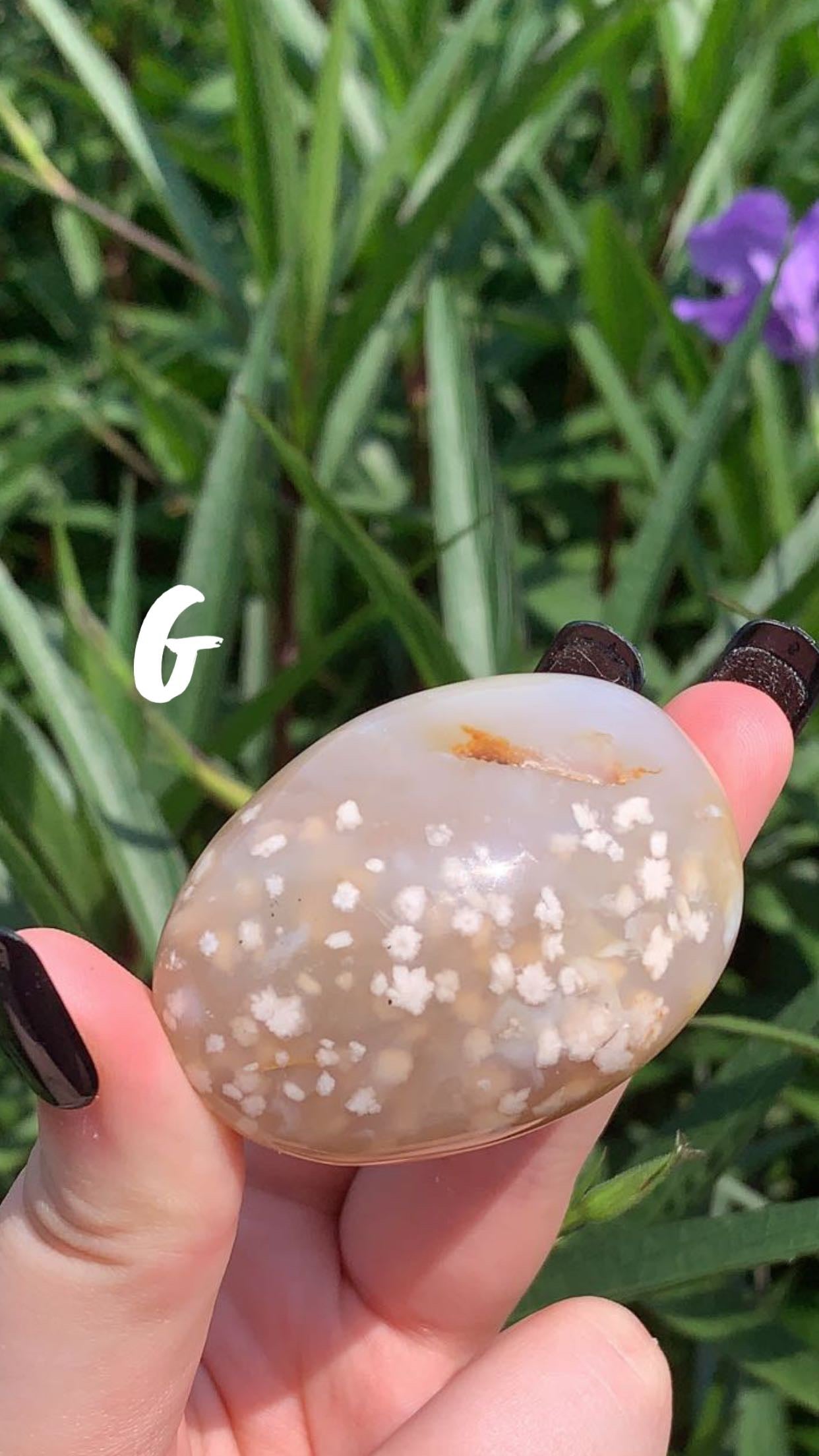 Flower Agate Palm Stone