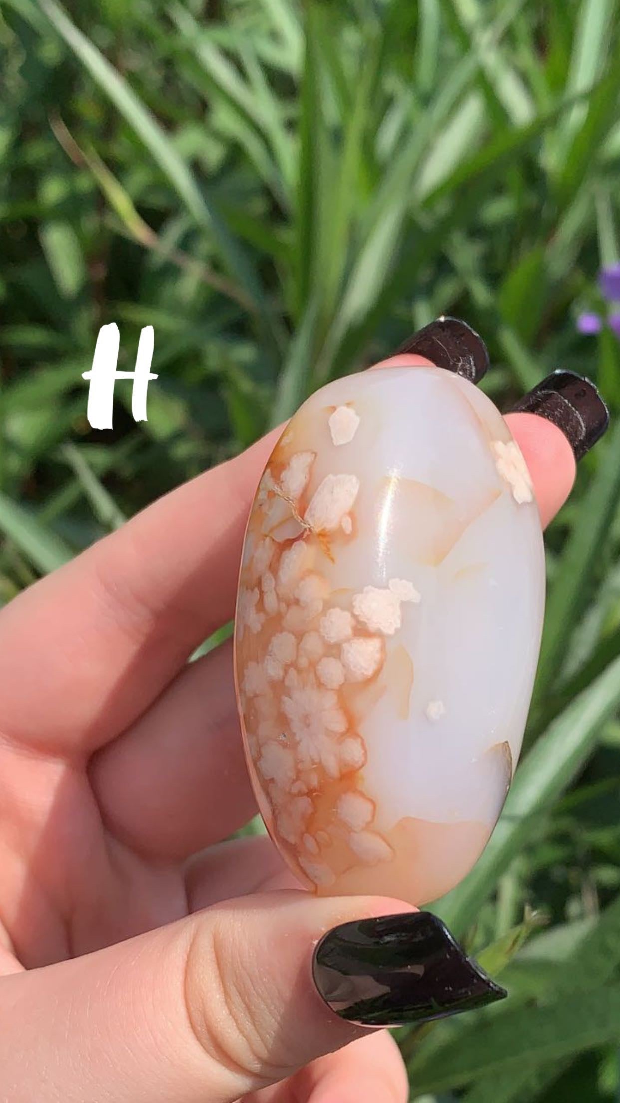 Flower Agate Palm Stone