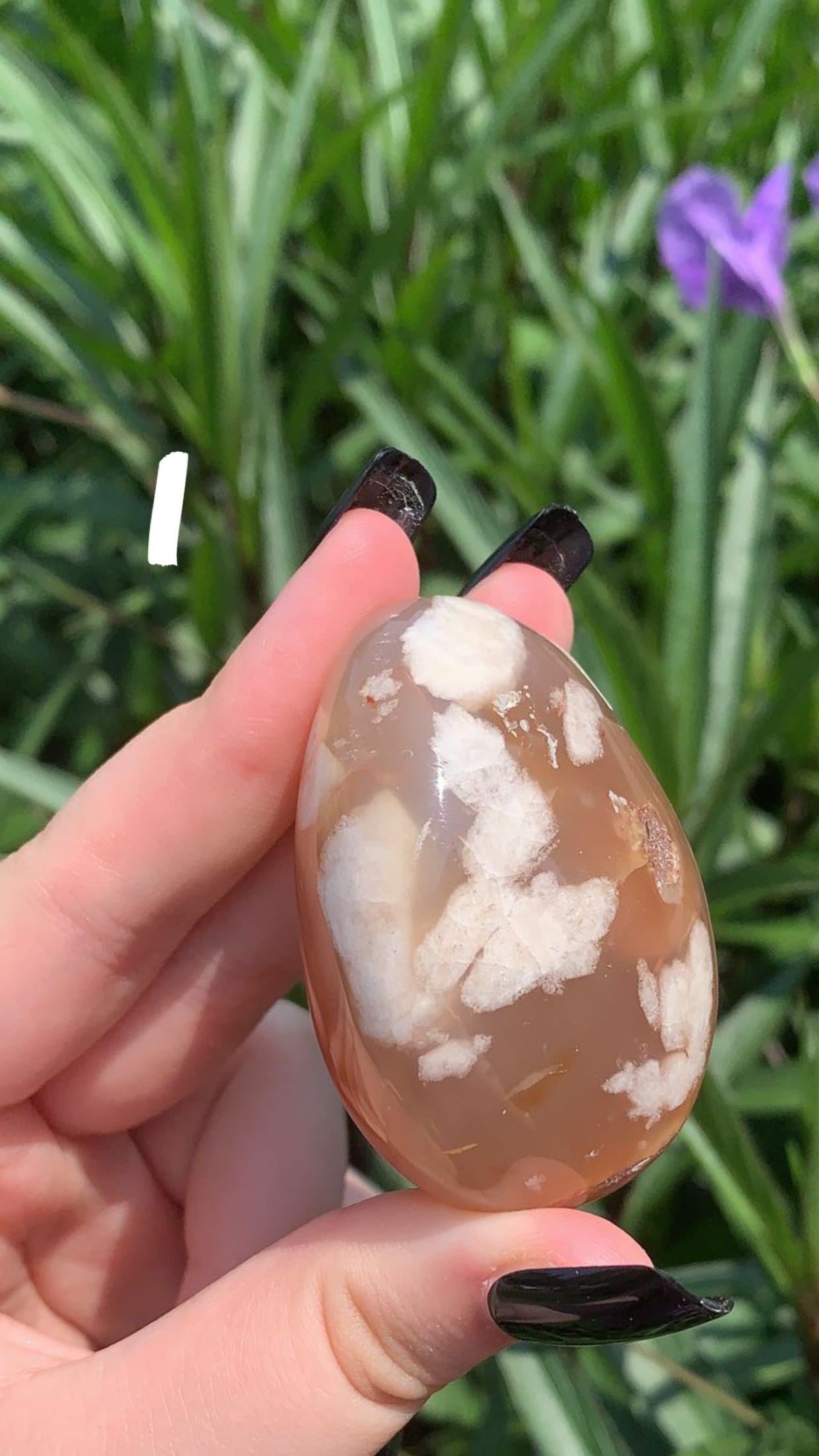 Flower Agate Palm Stone