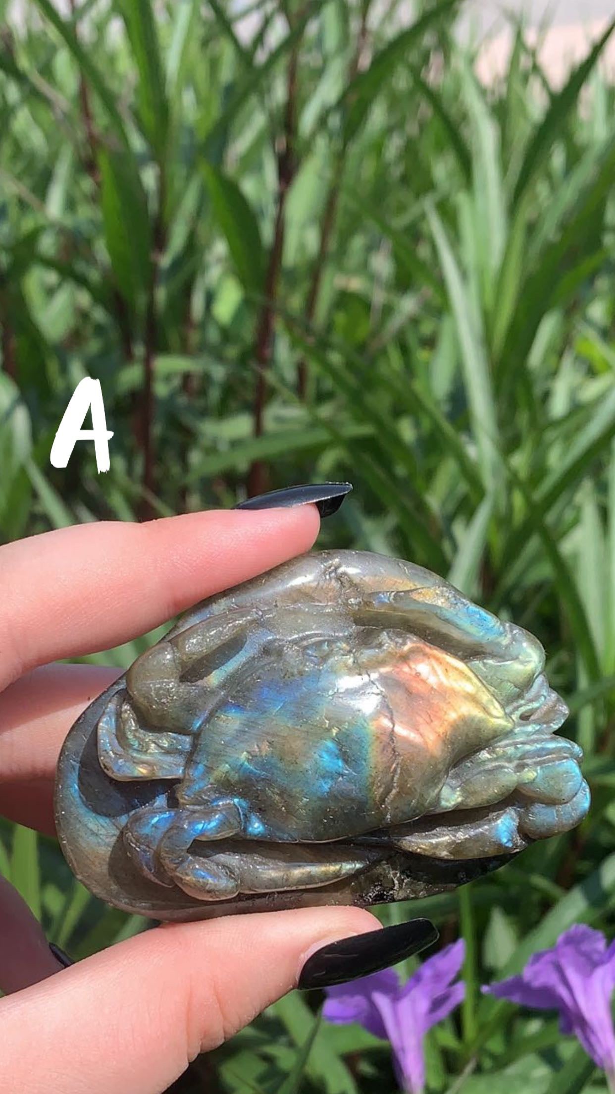 Labradorite Crabs