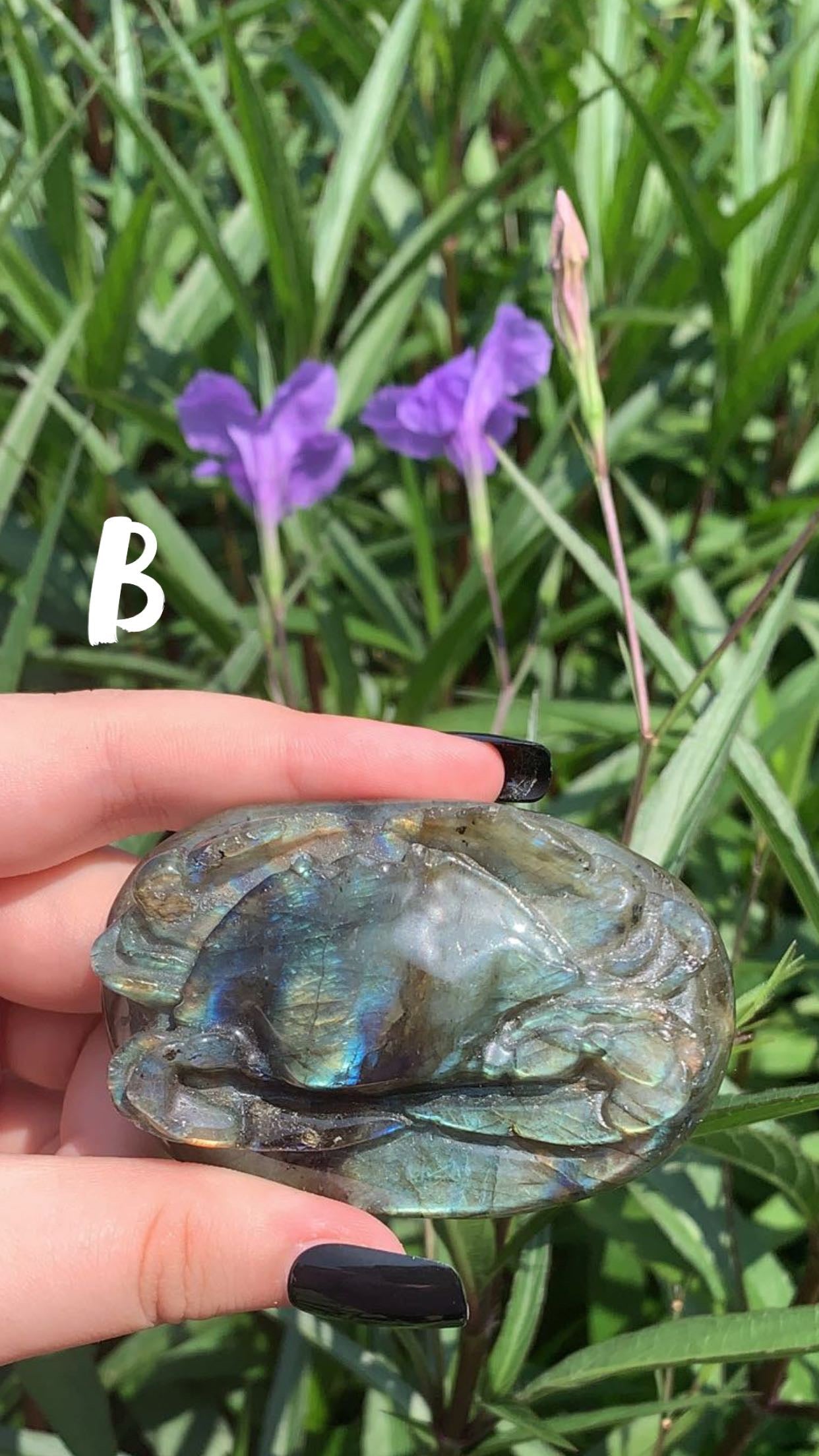 Labradorite Crabs