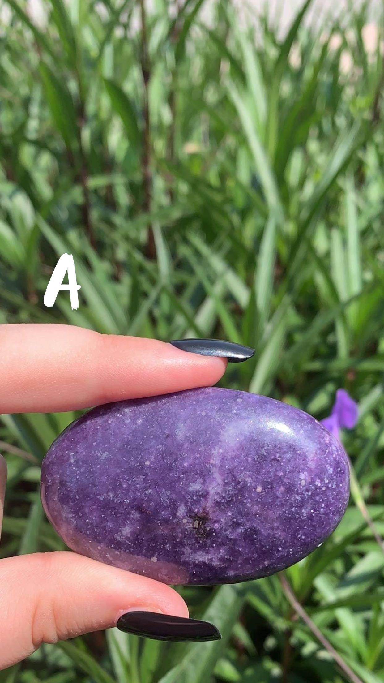 Lepidolite Palm Stone