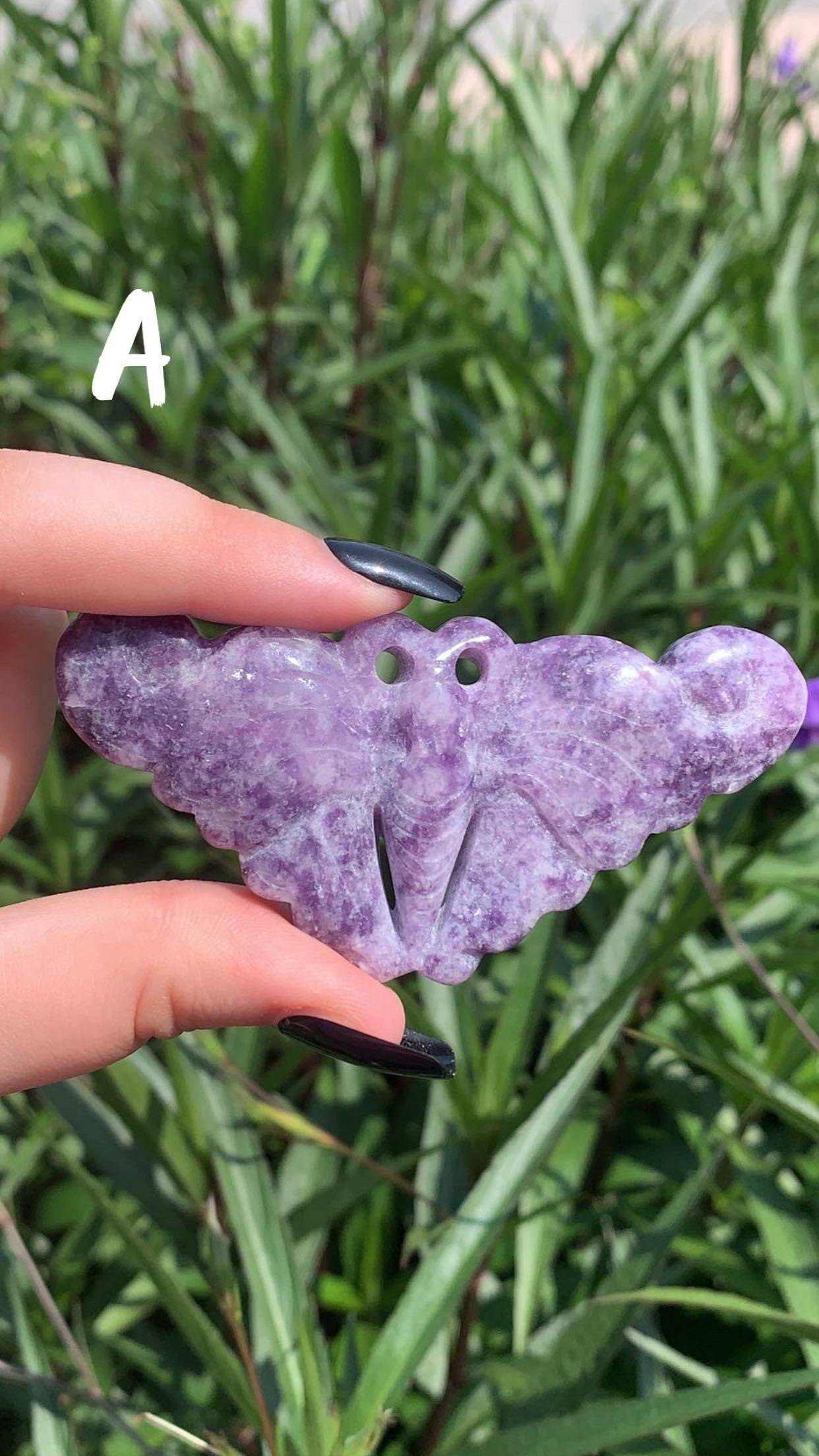 Lepidolite Moth