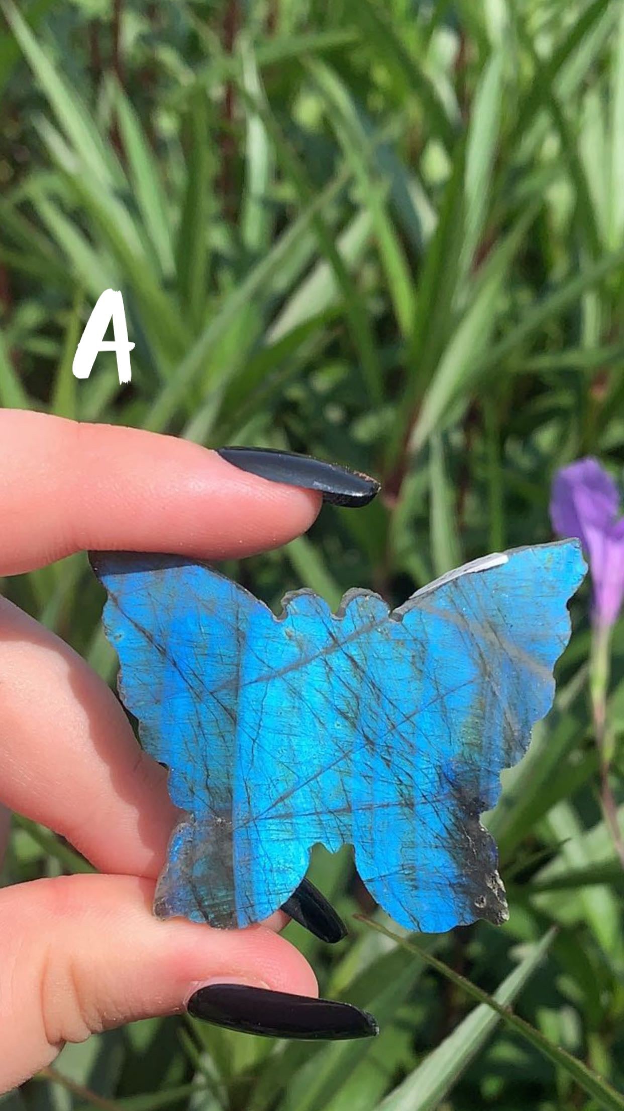 Labradorite Butterfly