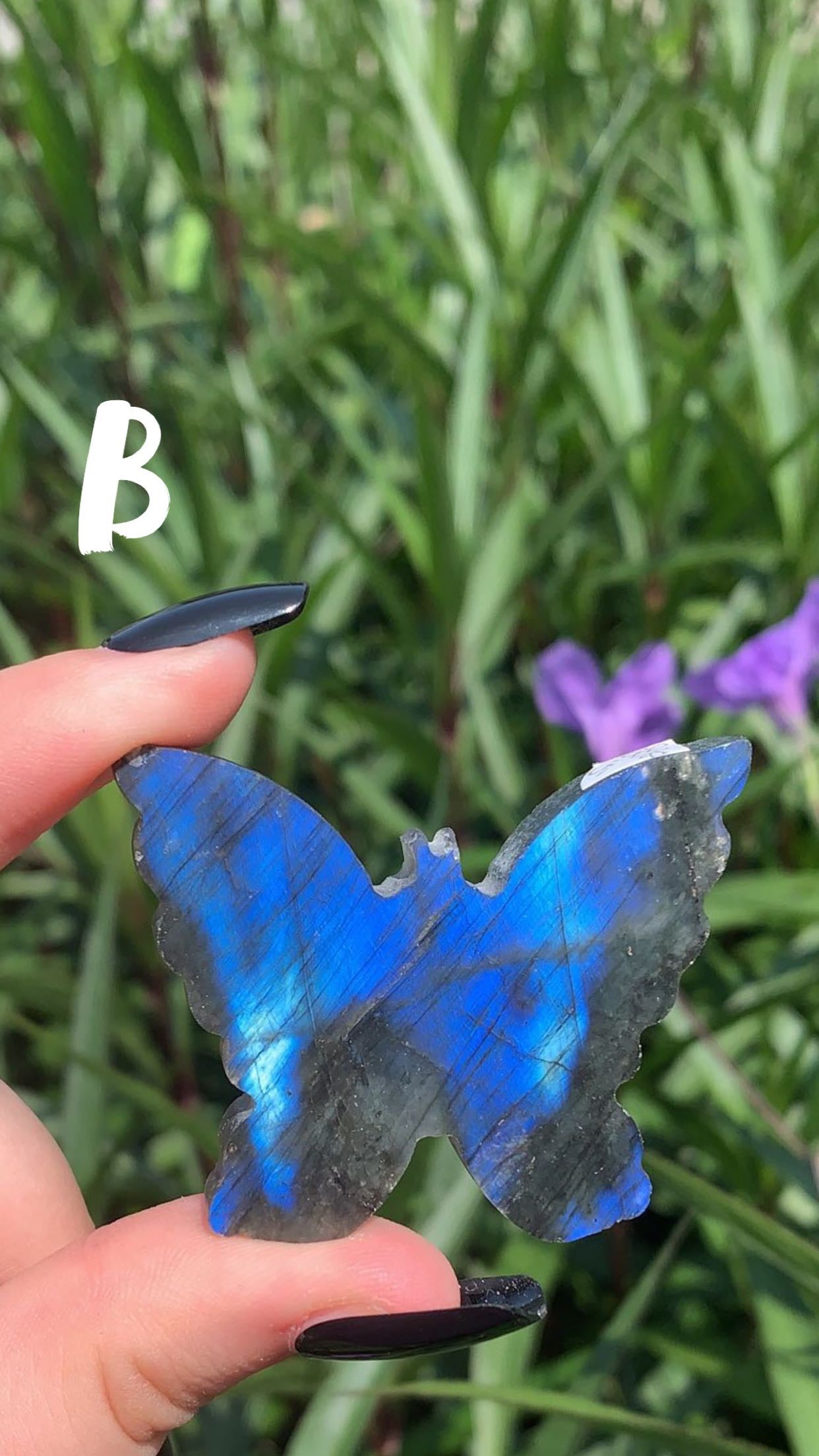 Labradorite Butterfly