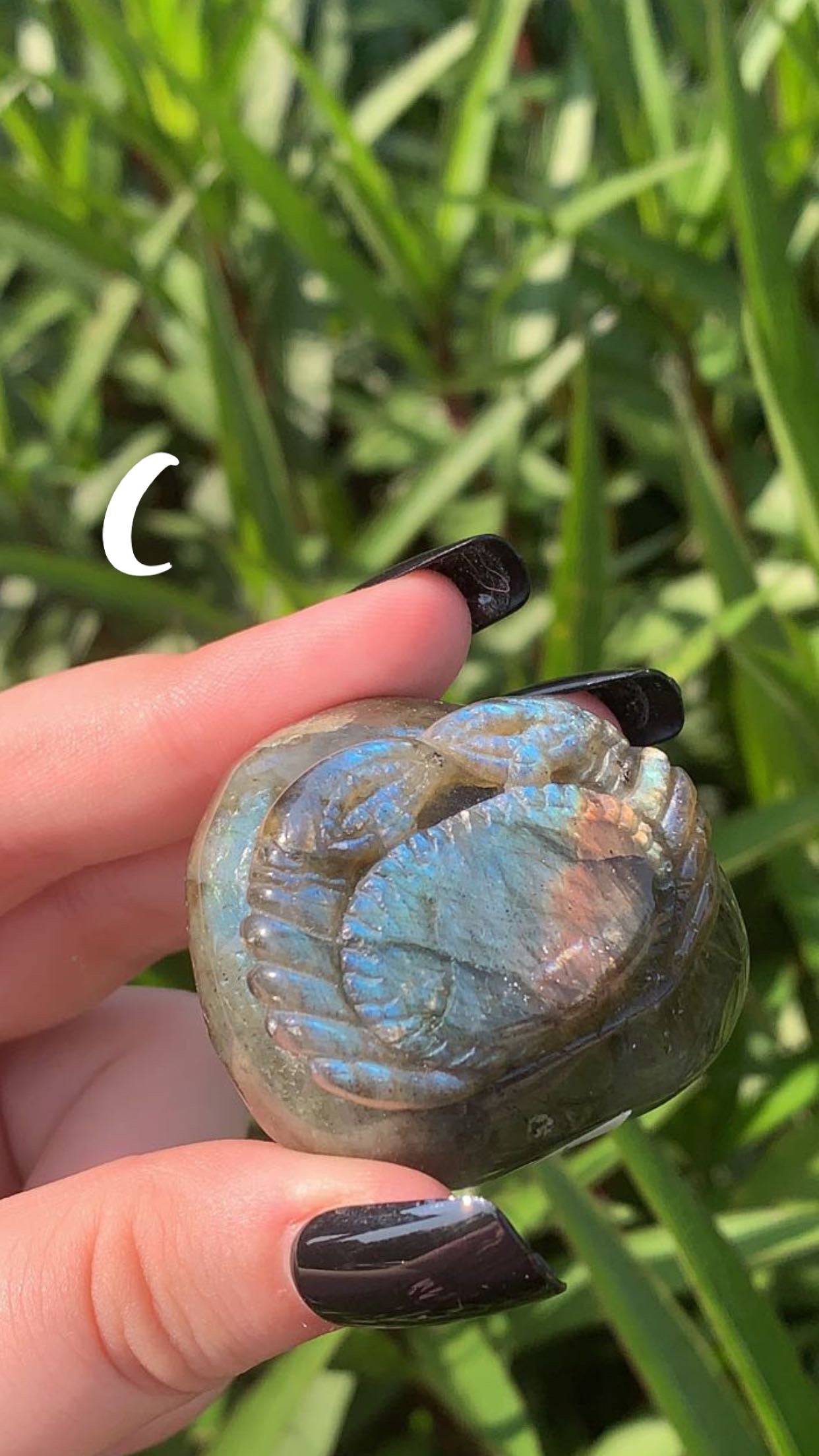 Labradorite Crabs