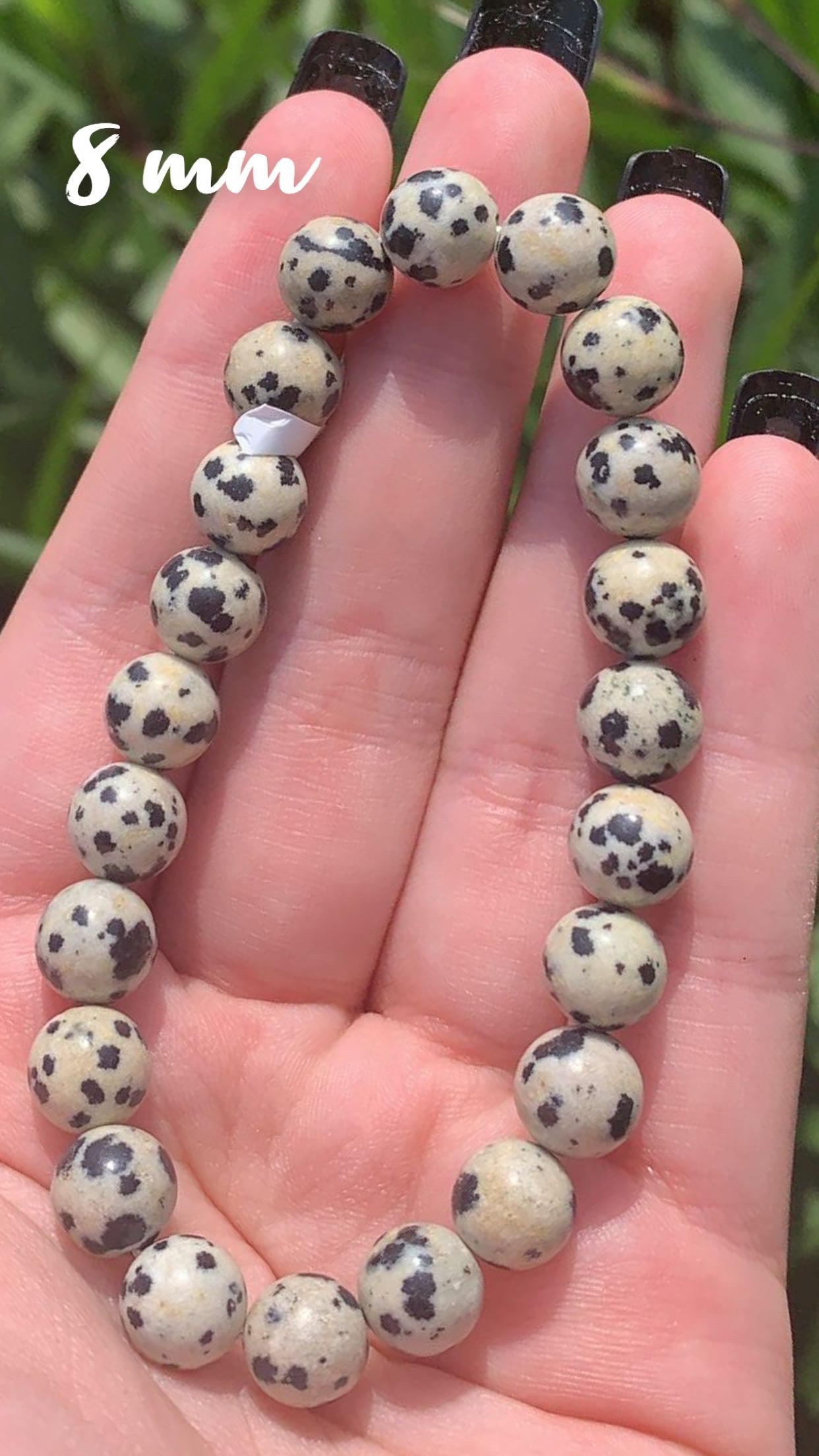 Dalmation Jasper 8mm Bracelet