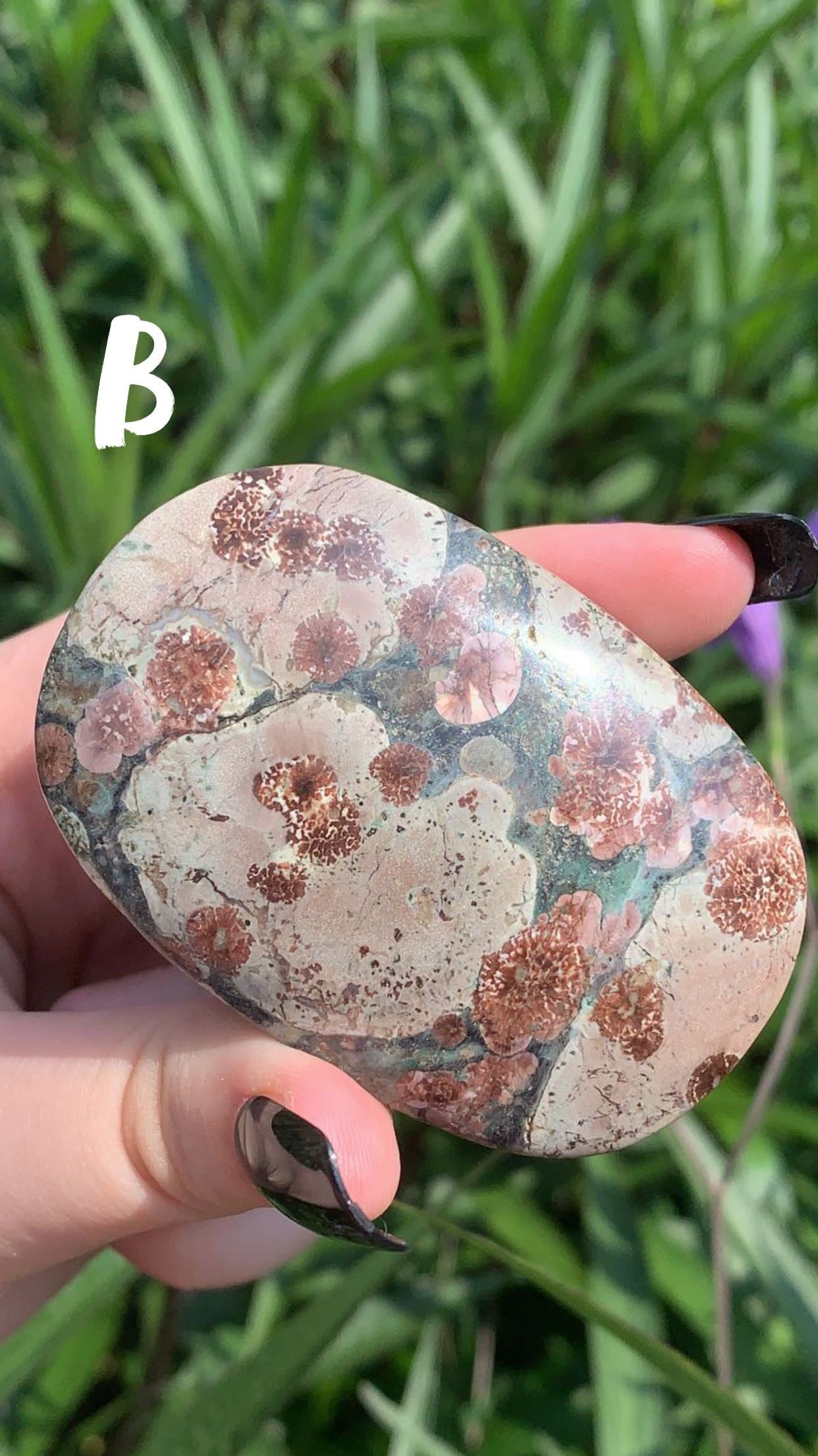 Green Flower Rhyolite Palm Stone