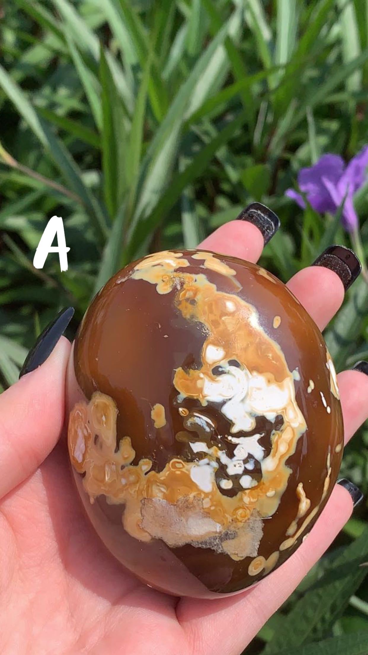 Agate Palm Stone