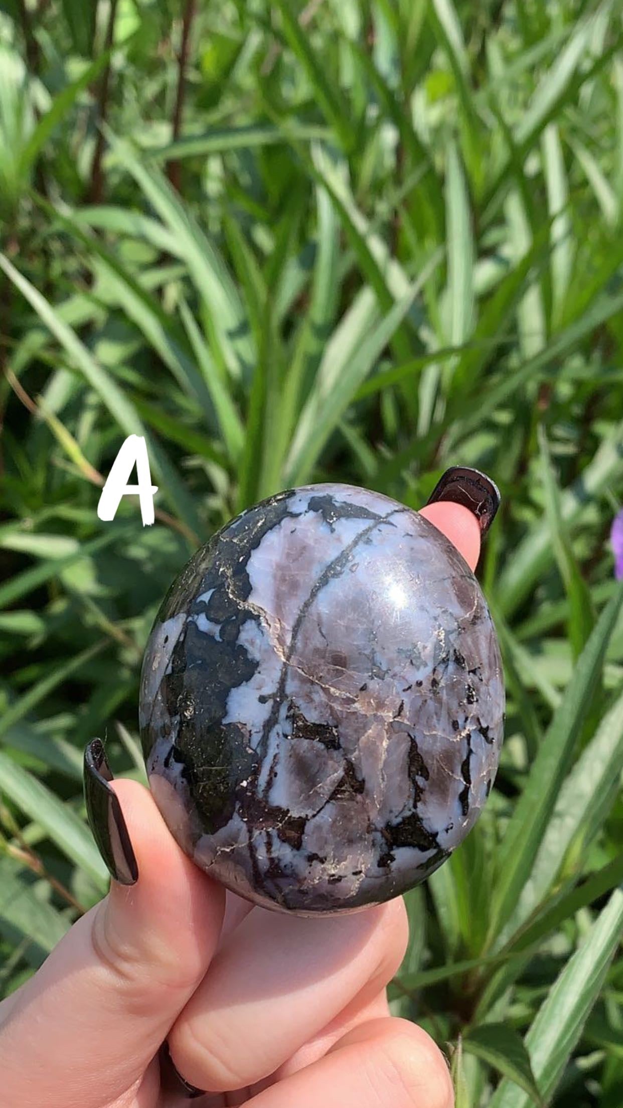Indigo Gabbro Palm Stone
