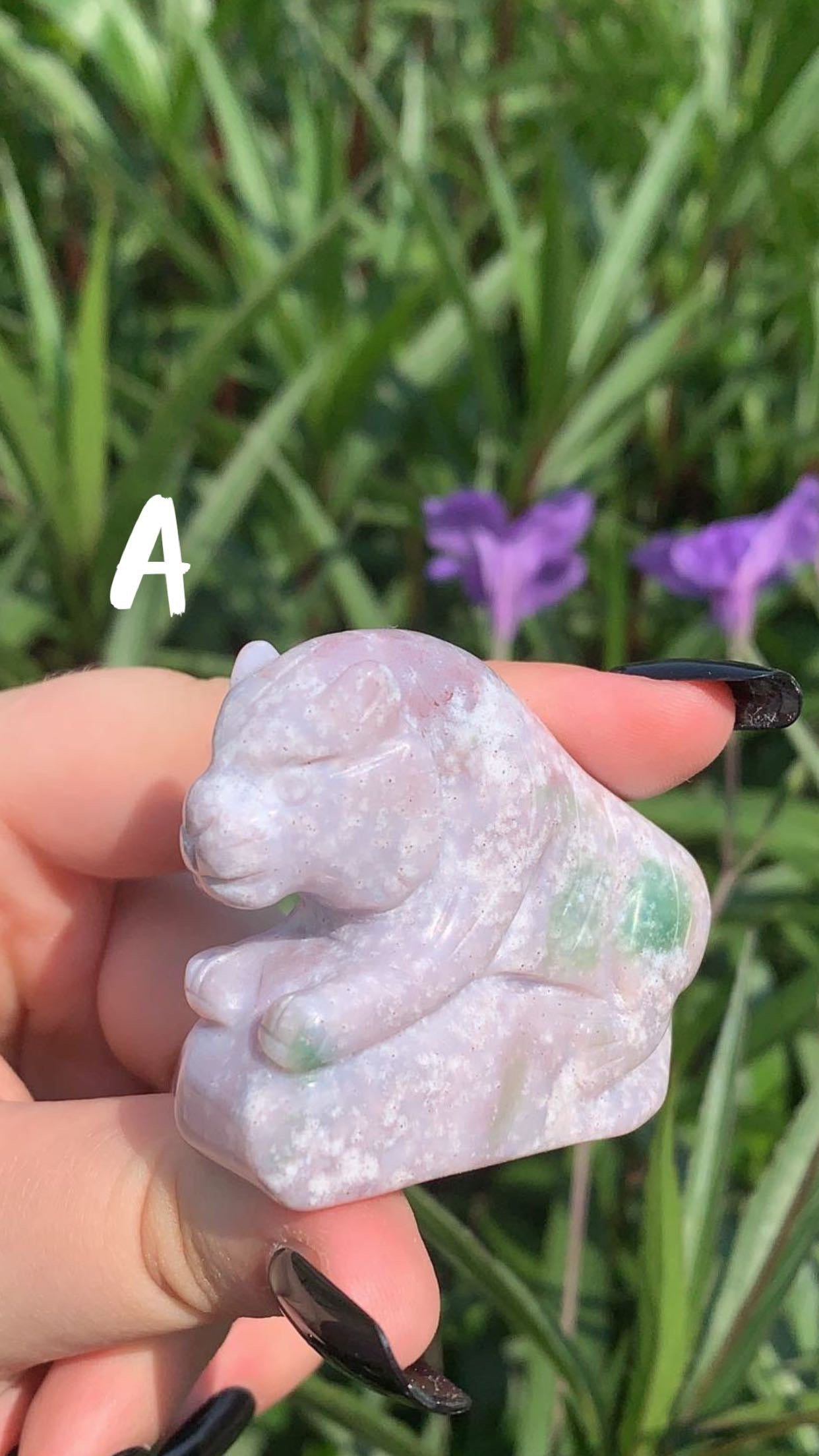 Ocean Jasper Lion