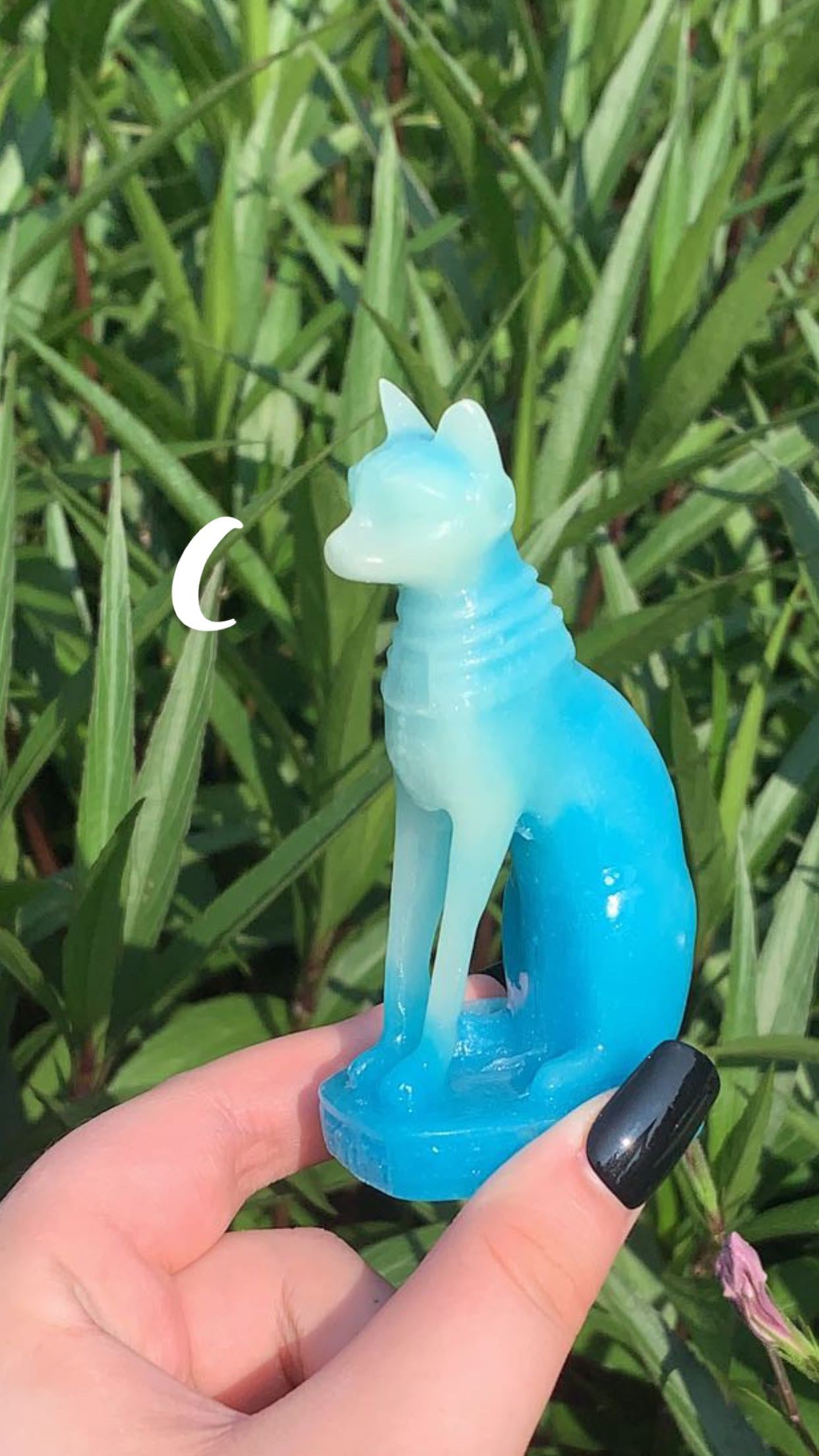 Luminous Cat