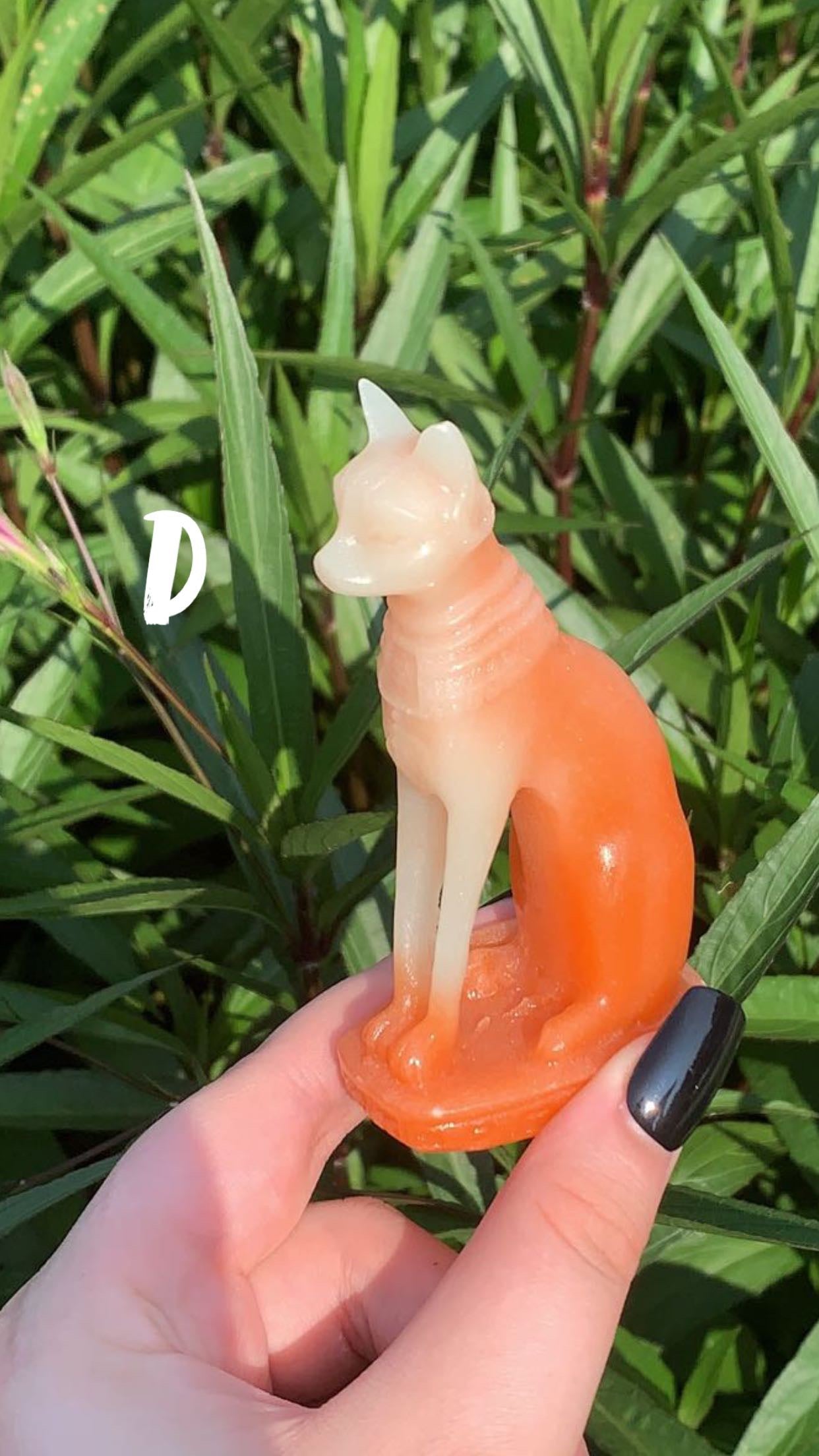 Luminous Cat