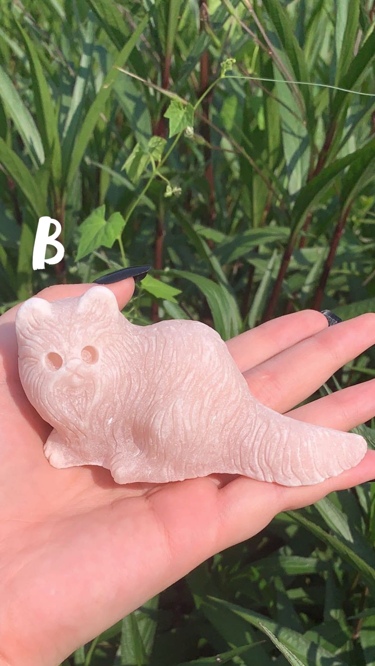 Pink Opal Cat