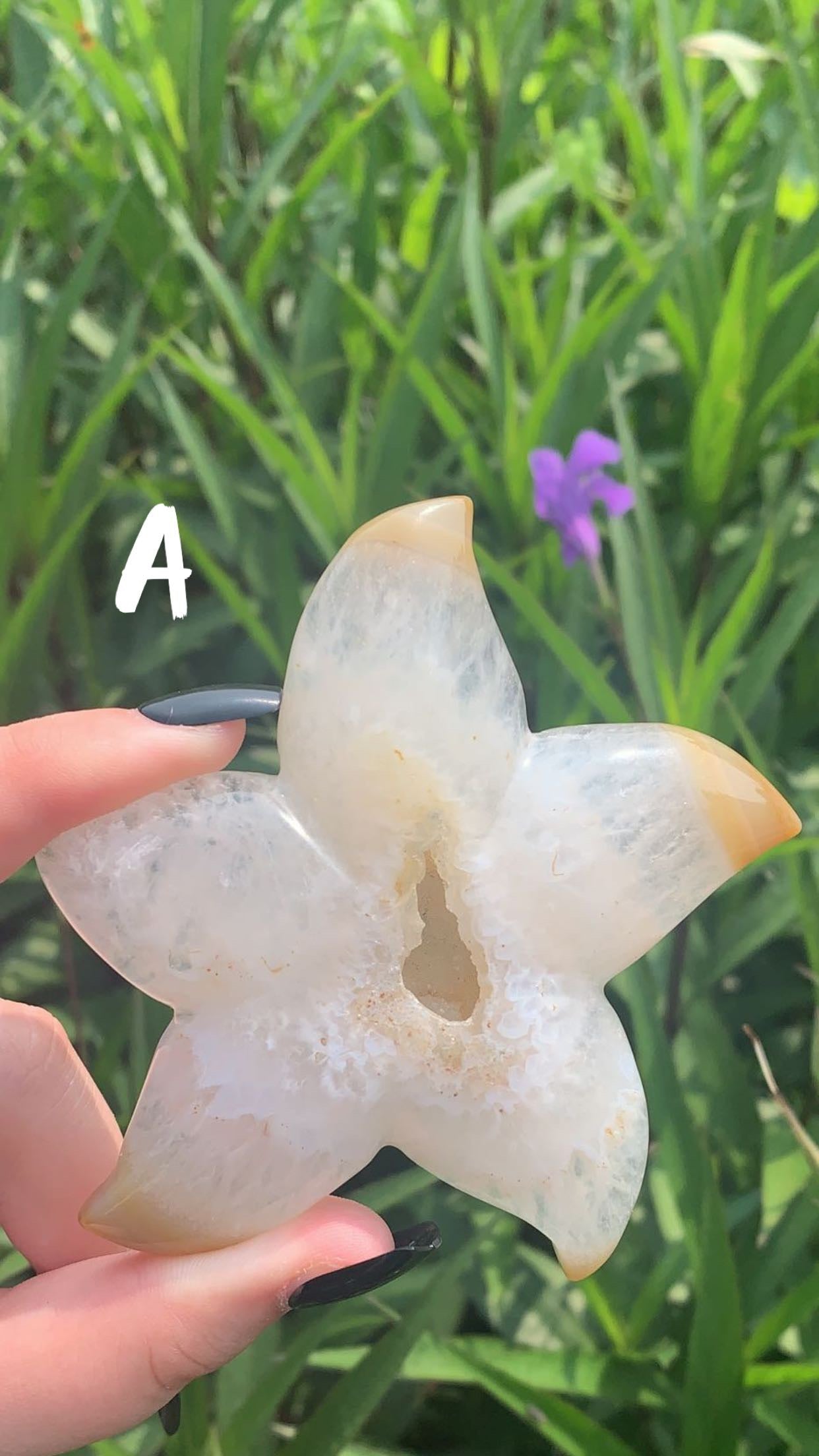 Druzy Agate Stars