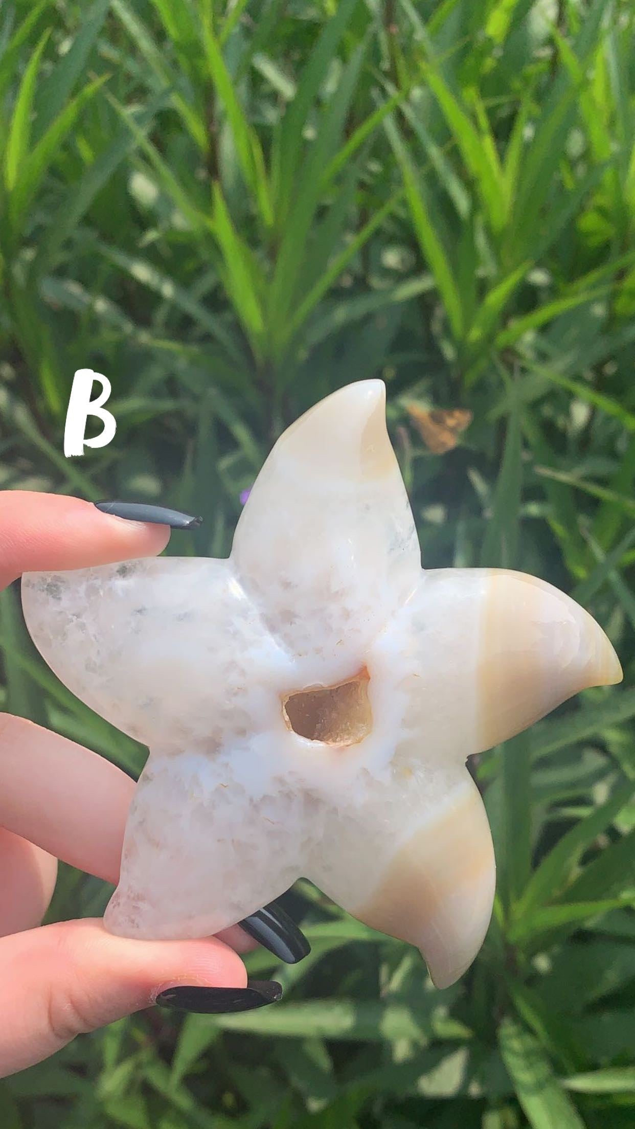 Druzy Agate Stars