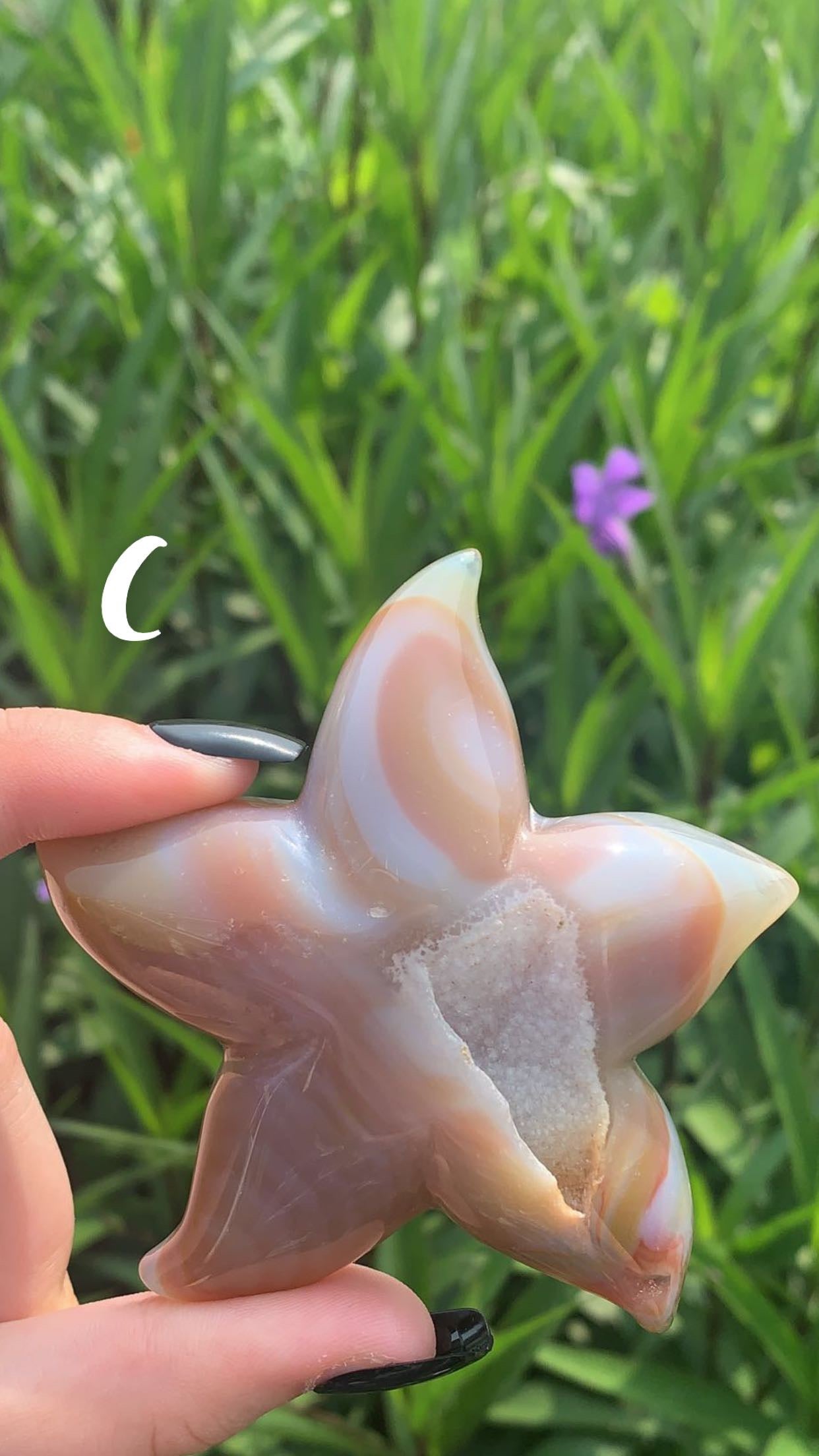 Druzy Agate Stars
