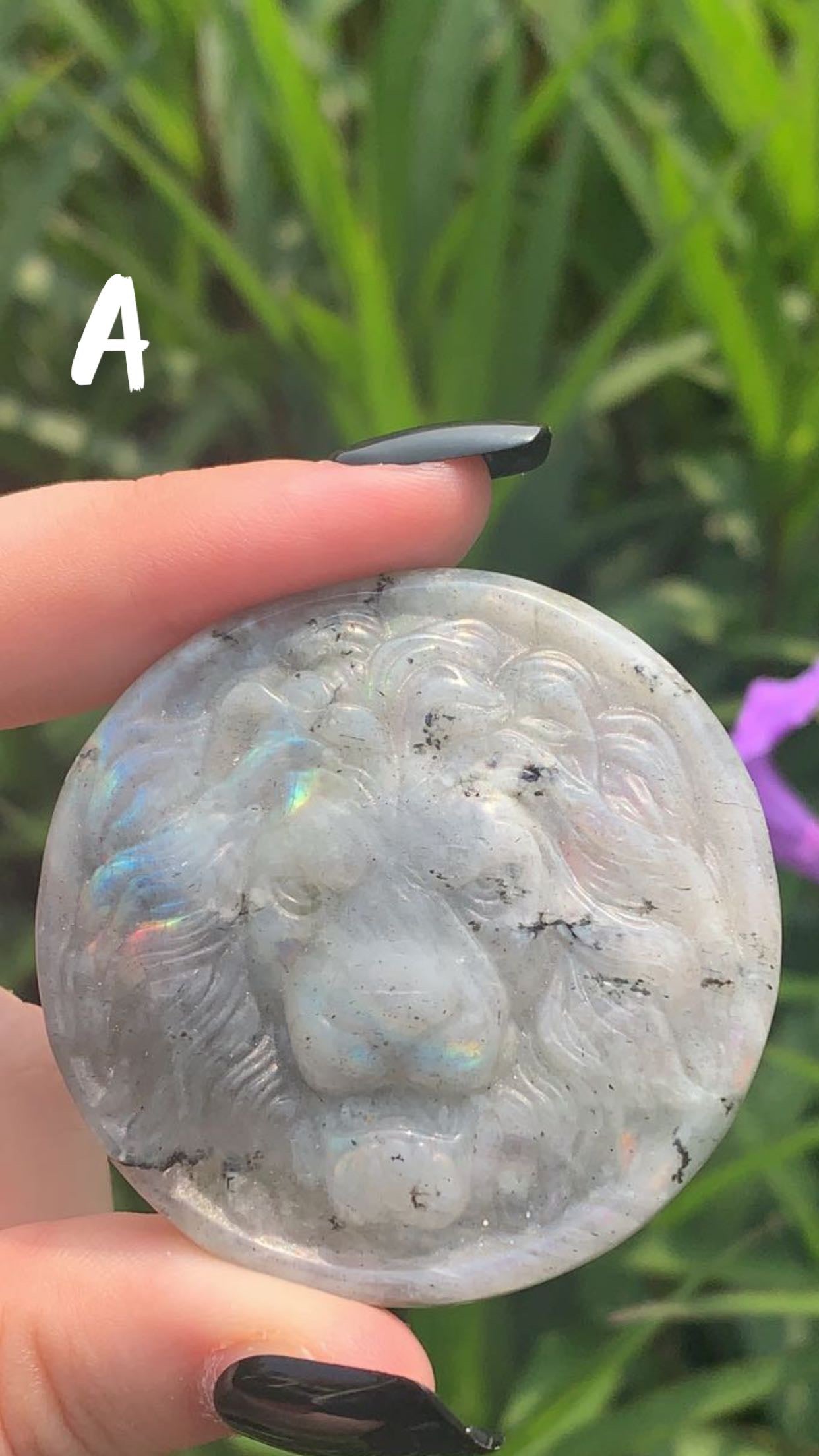 Labradorite Lion Slab