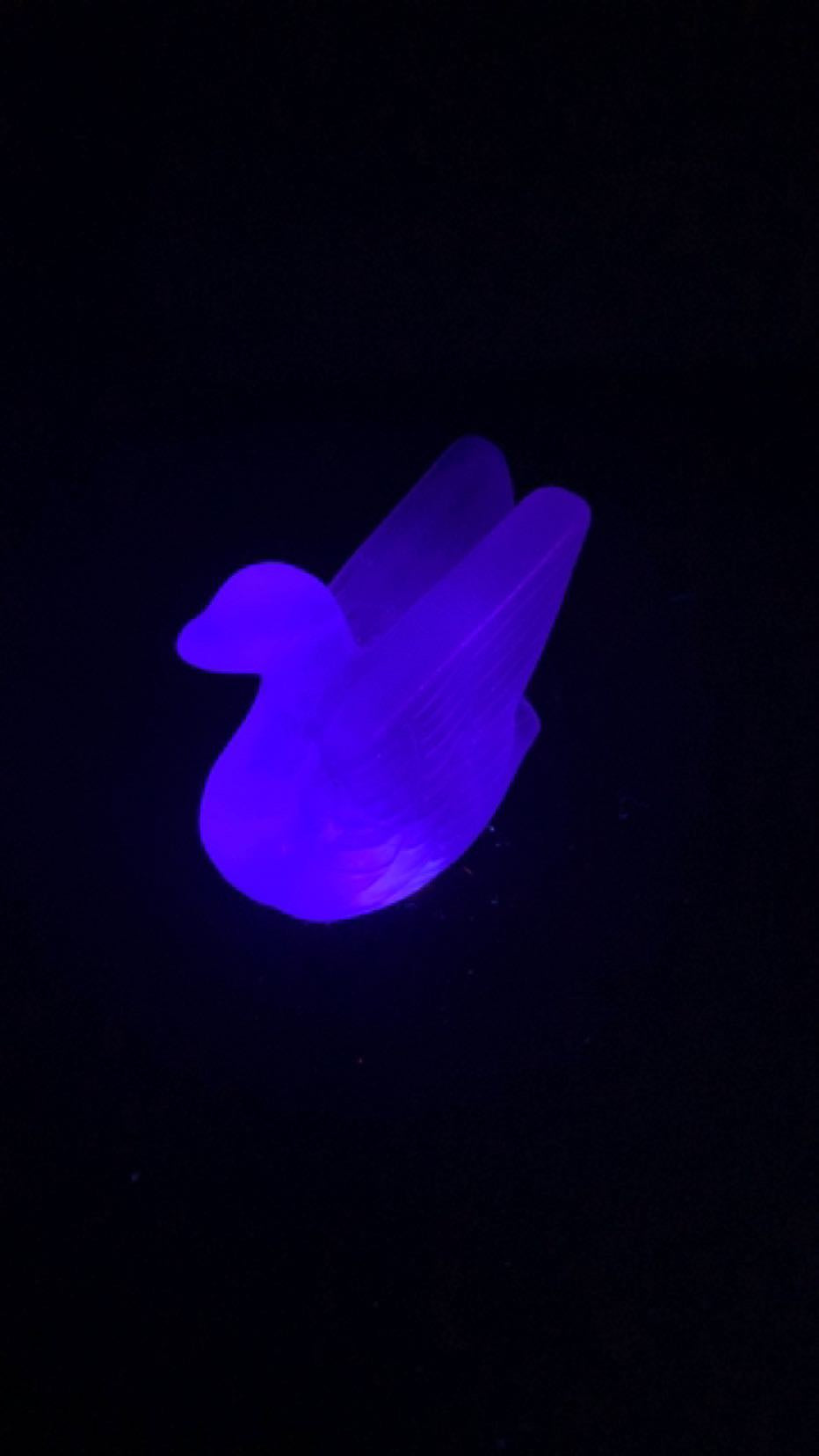 Fluorite Swan