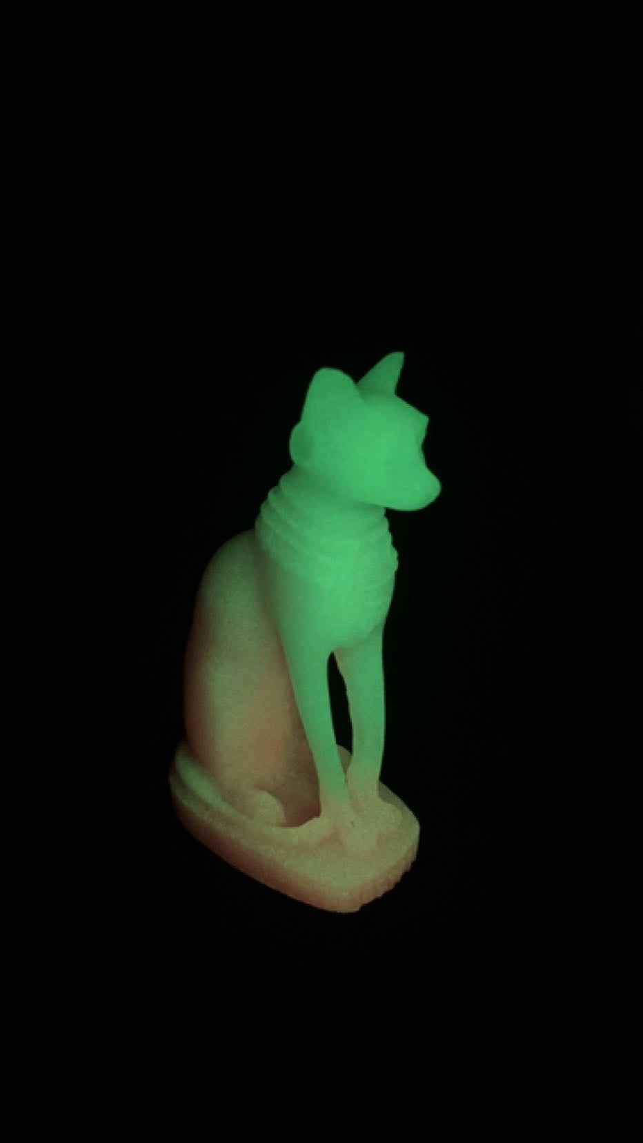 Luminous Cat
