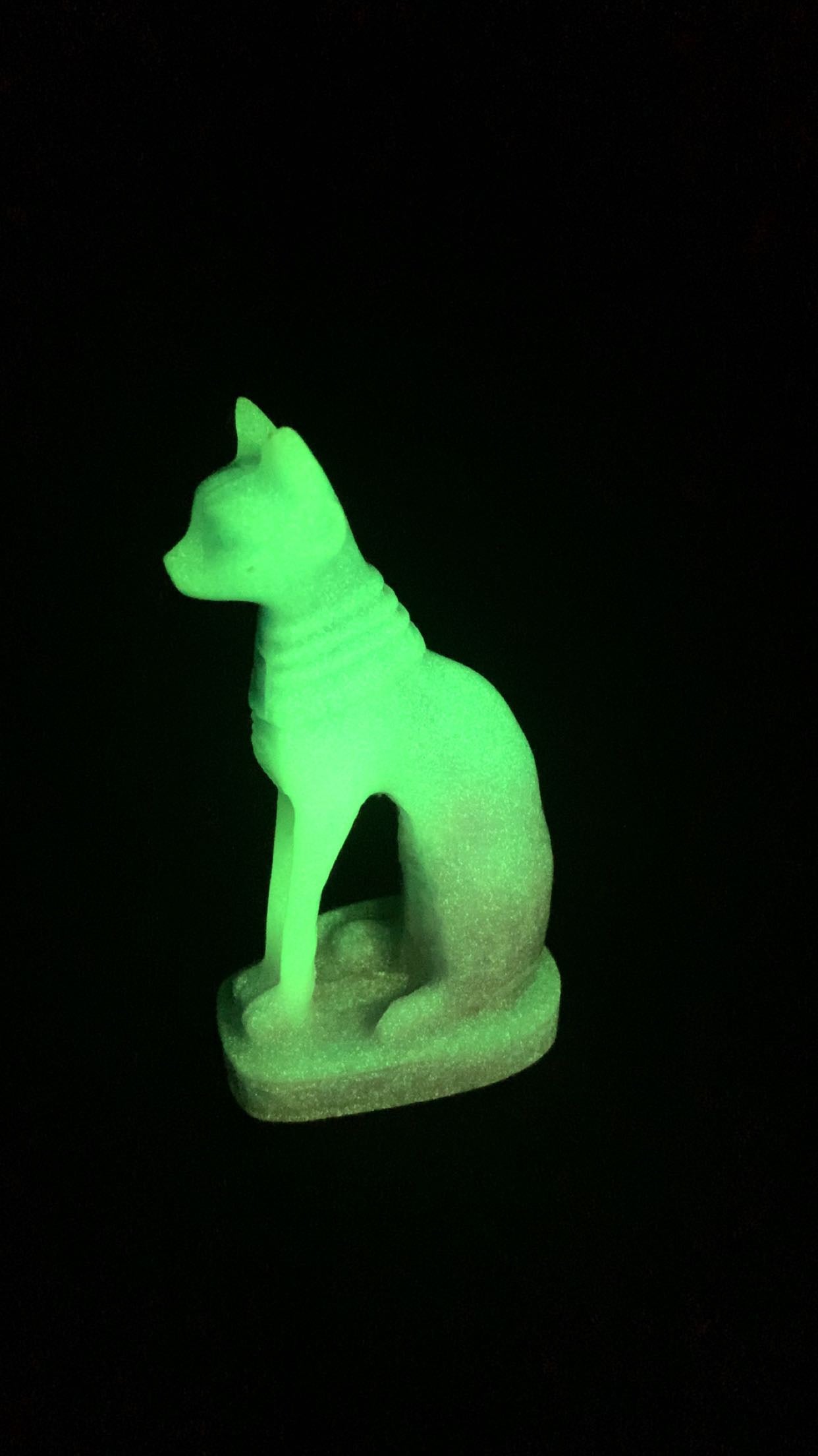 Luminous Cat