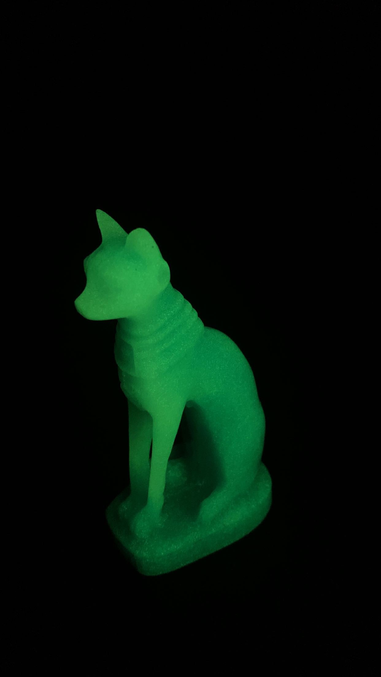 Luminous Cat