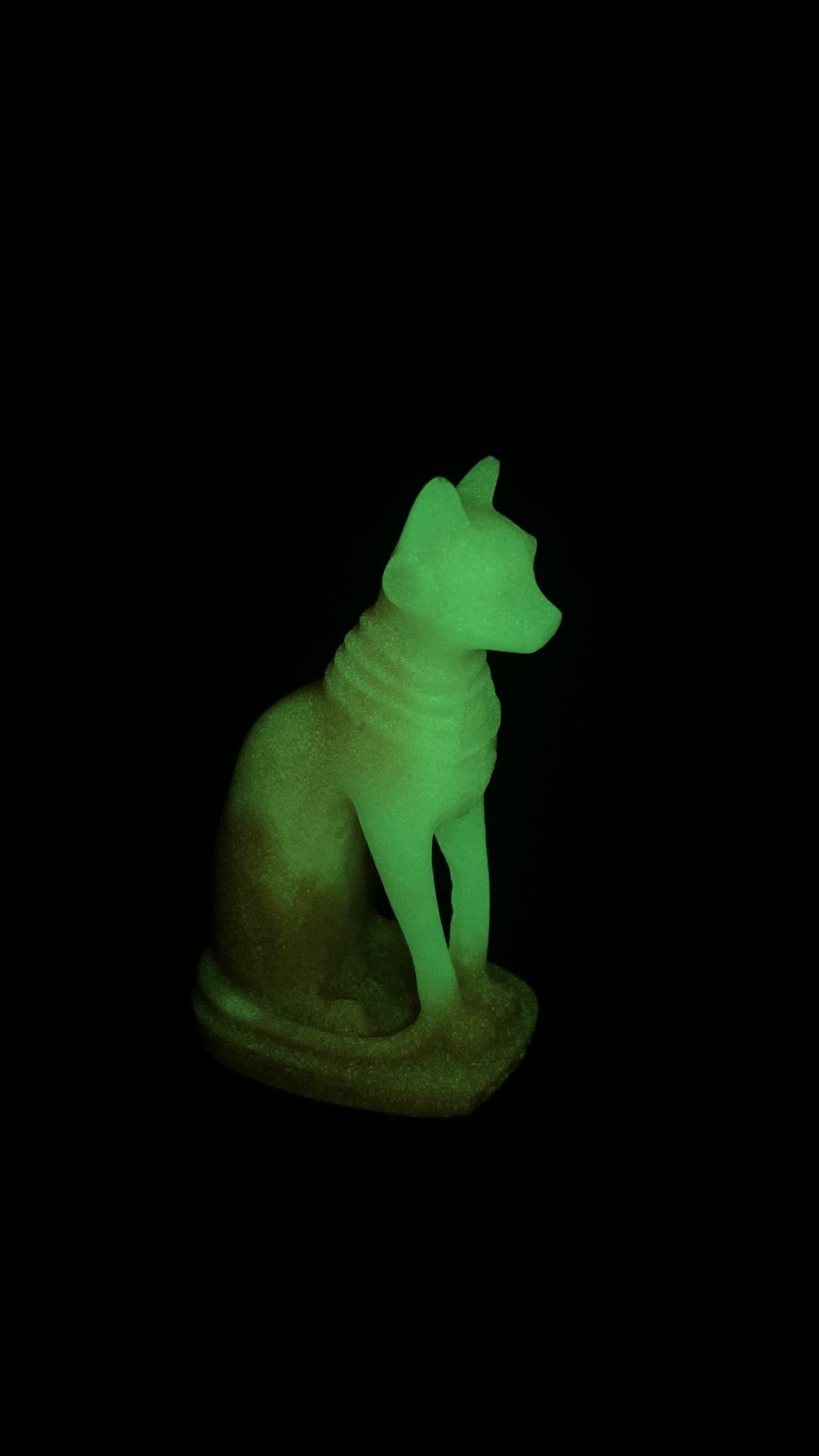Luminous Cat