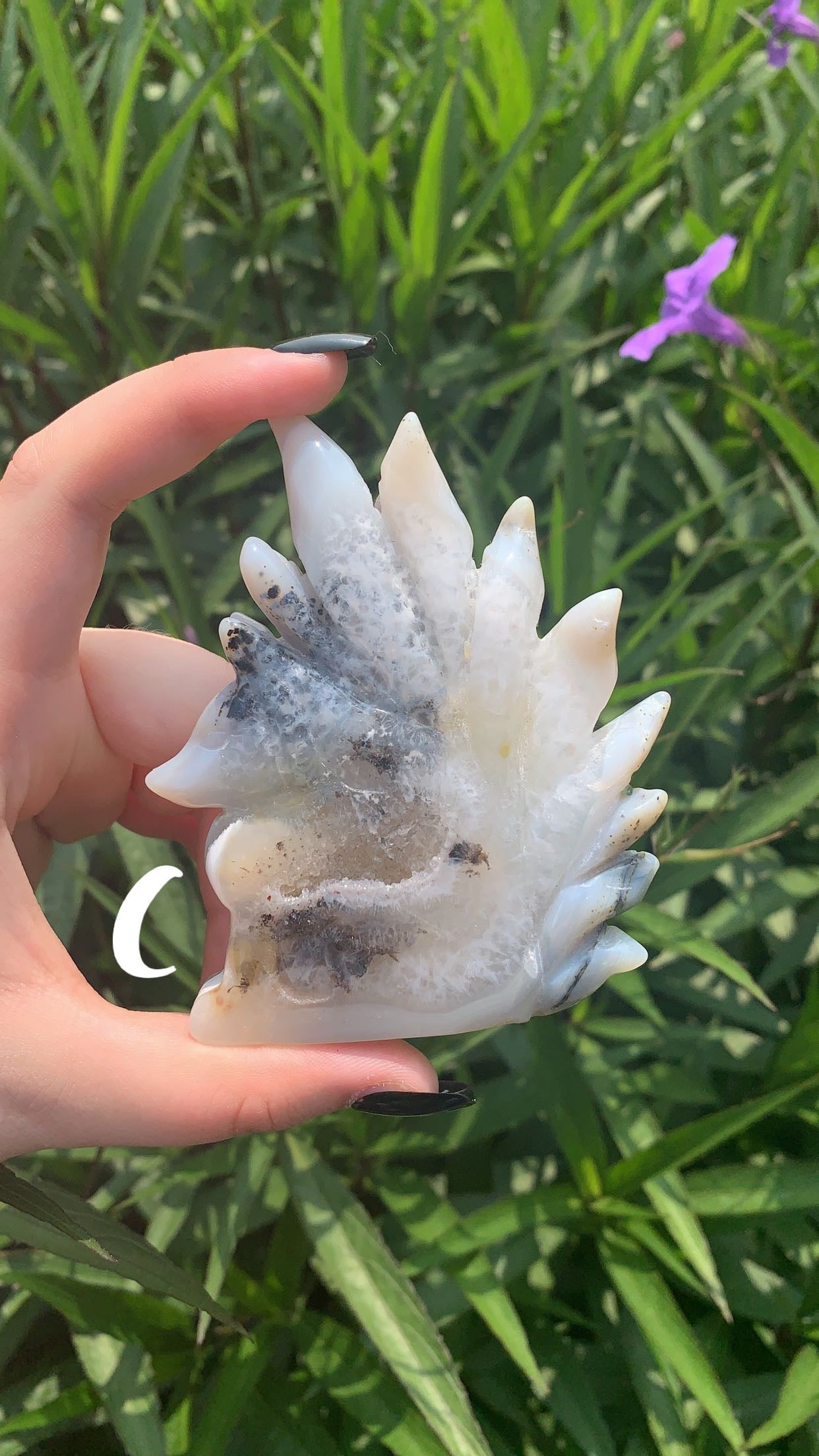 Druzy Agate Nine Tail Fox