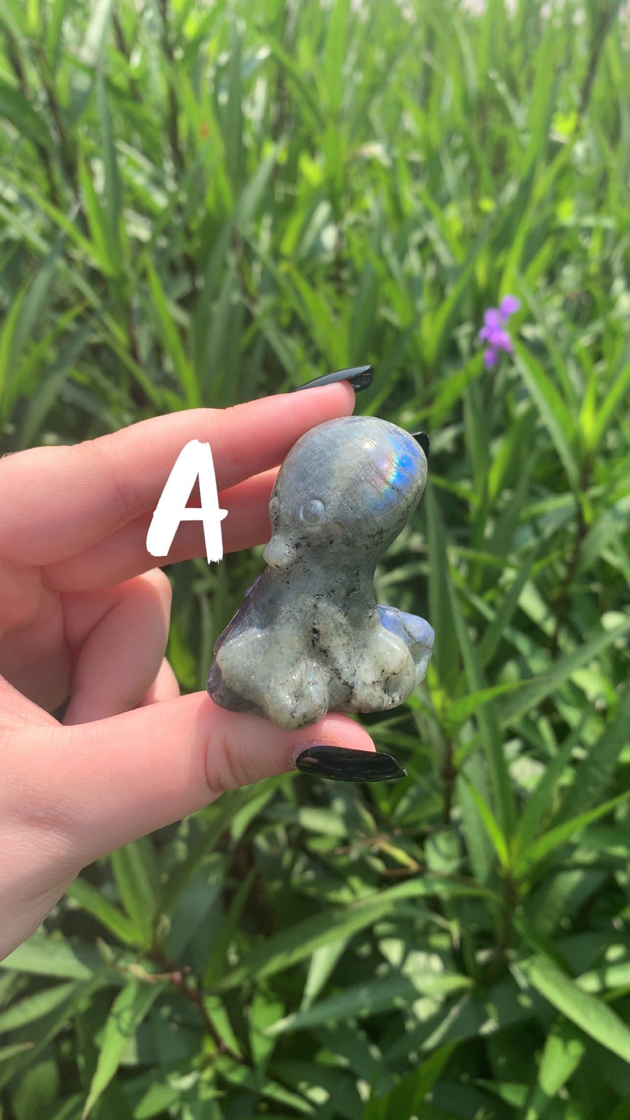 Labradorite Octopus