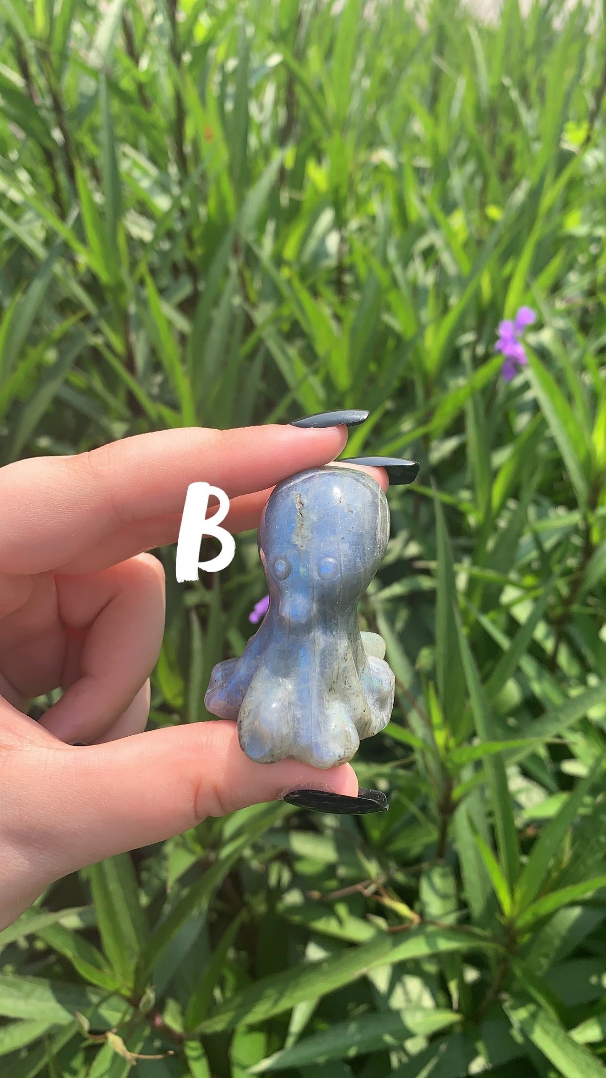 Labradorite Octopus
