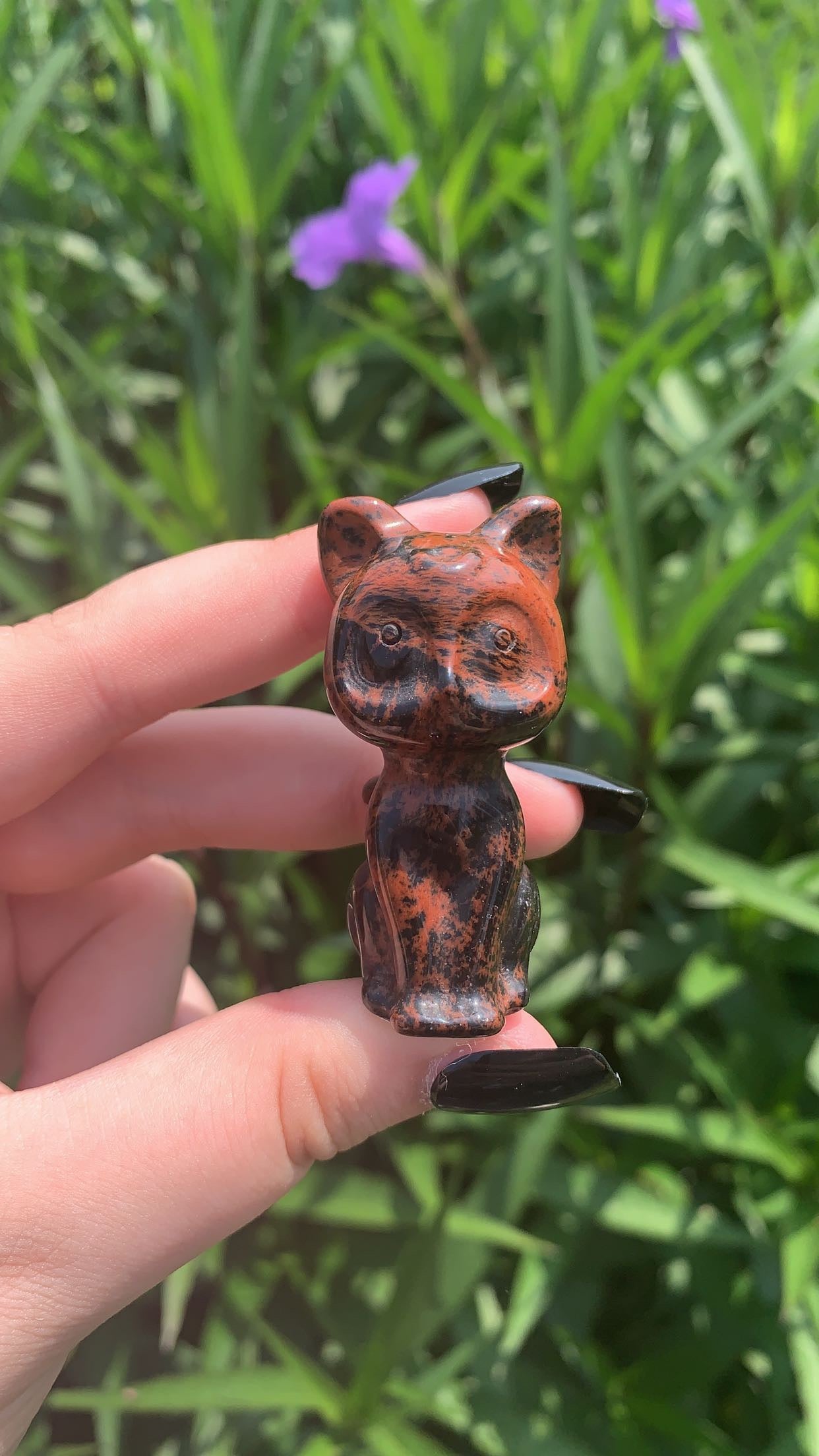 Mahogany Obsidian Cat