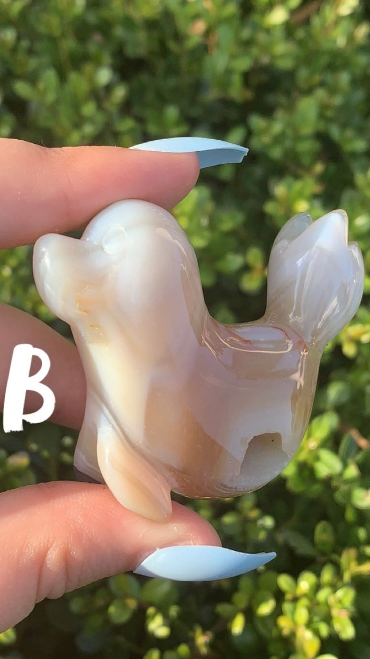 Druzy Agate Seal