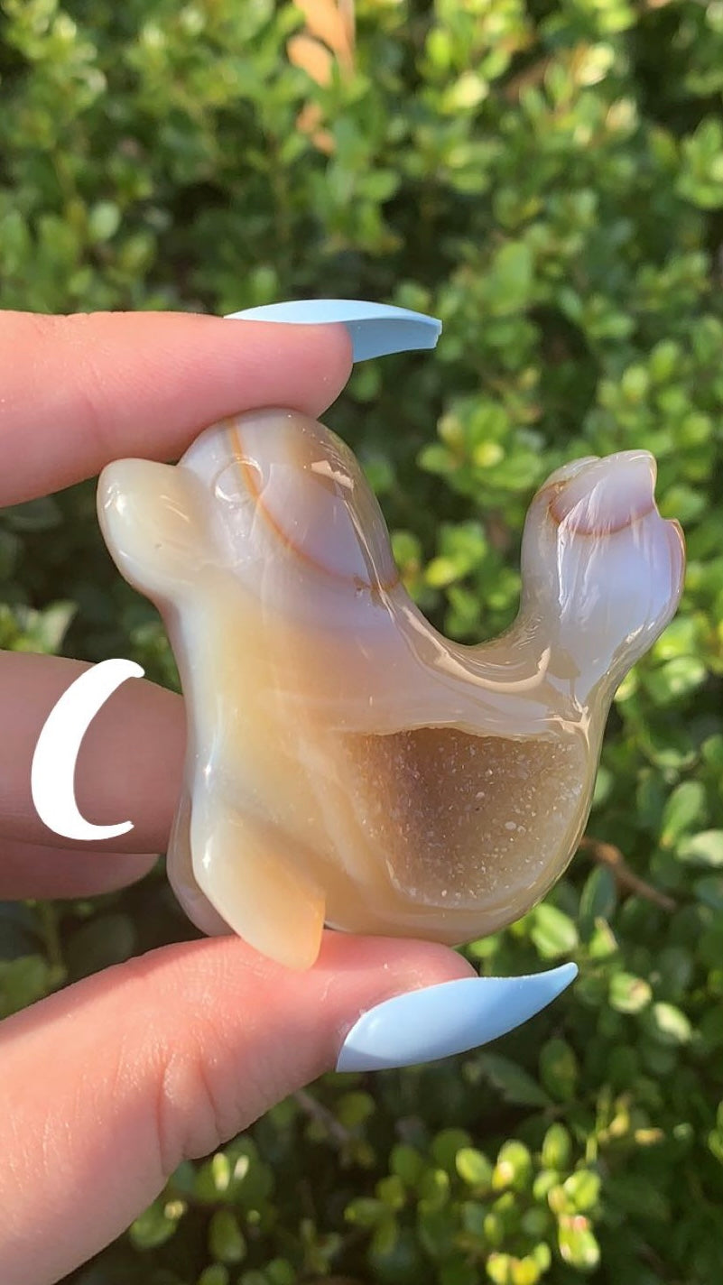 Druzy Agate Seal