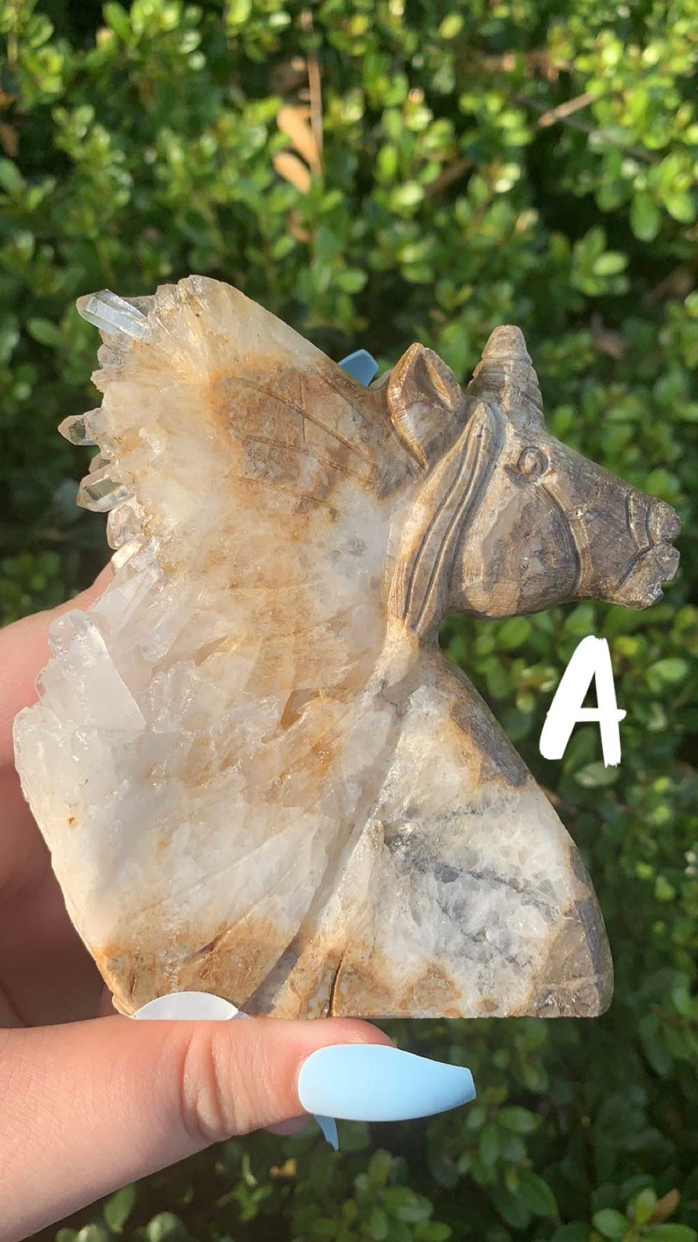 Unicorn Clear Quartz Cluster Carving
