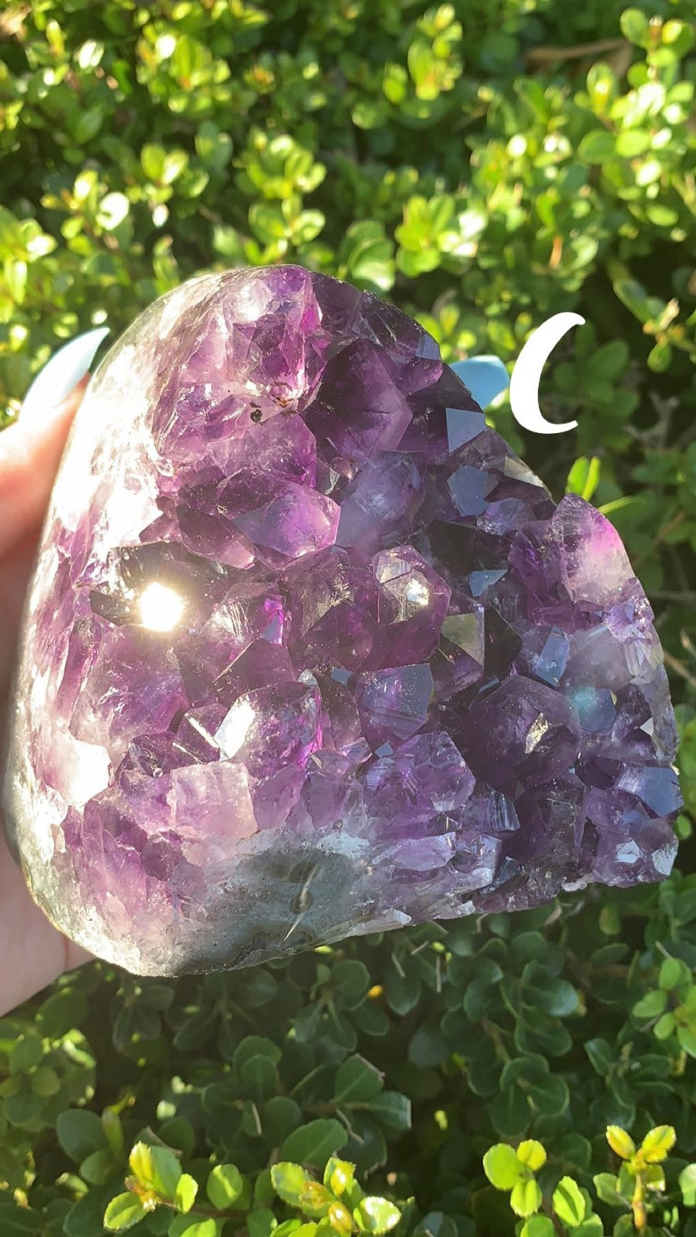 Amethyst Geode
