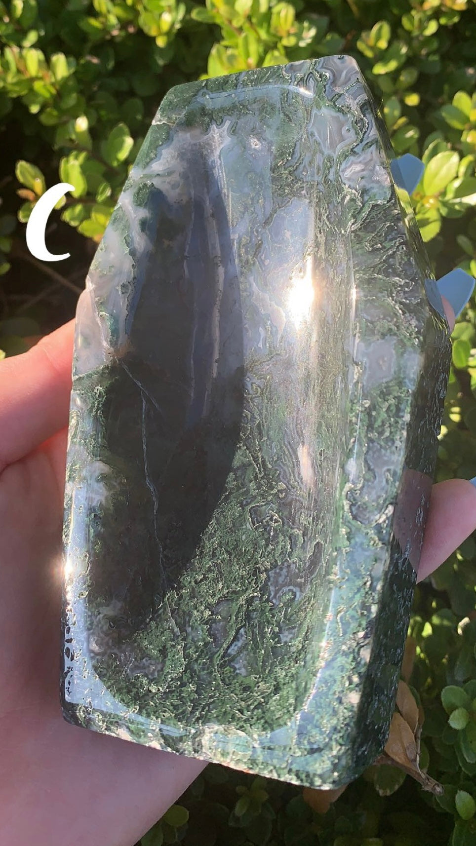 Moss Agate Coffin
