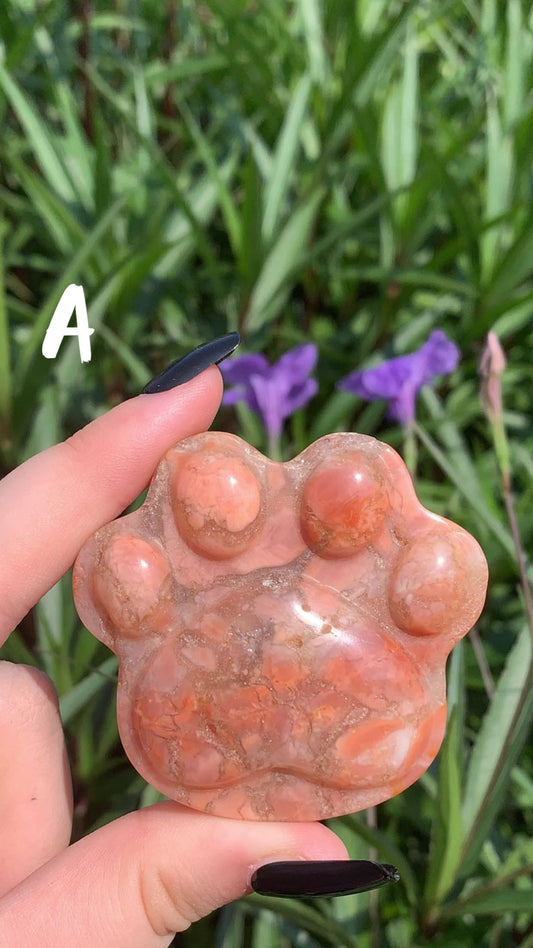 Paw Print
