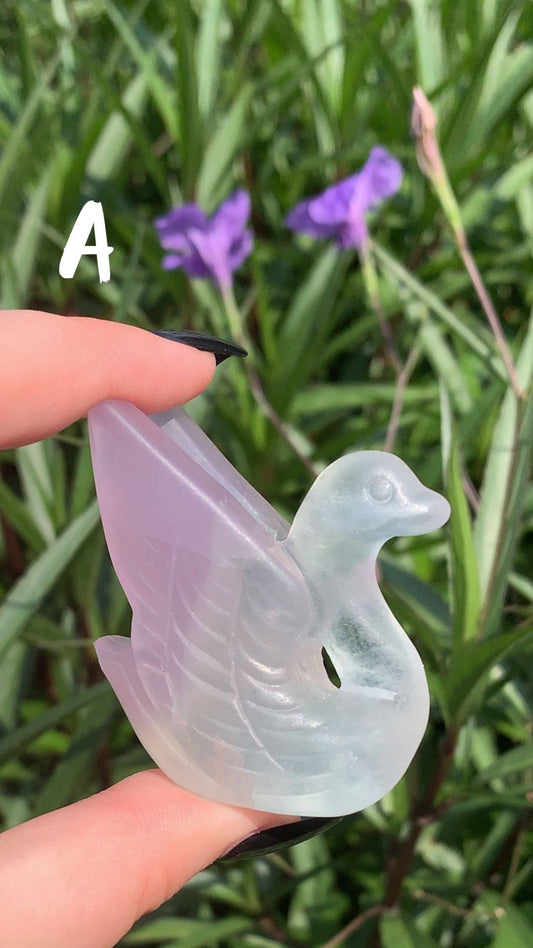 Fluorite Swan