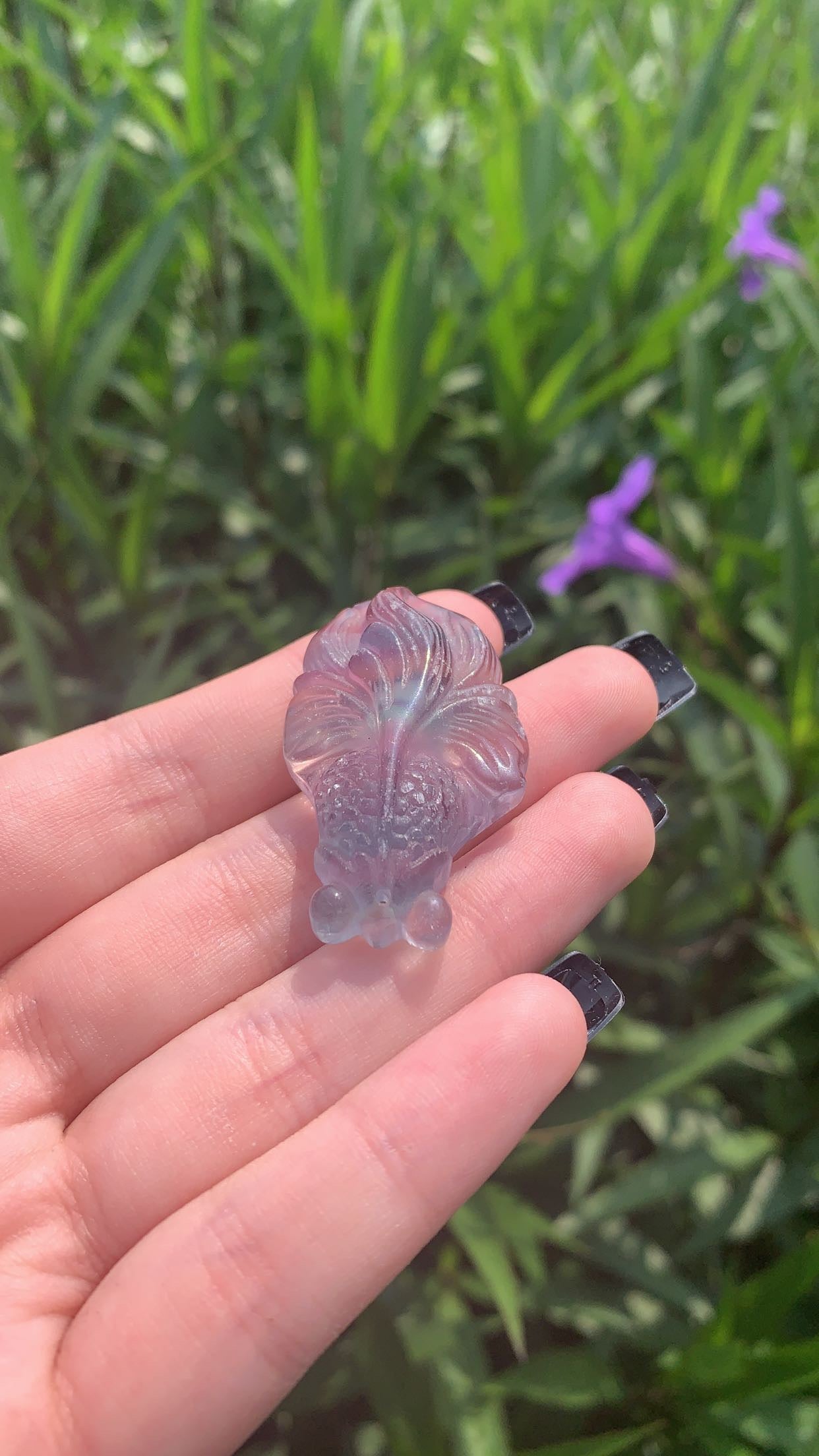 Fluorite Goldfish