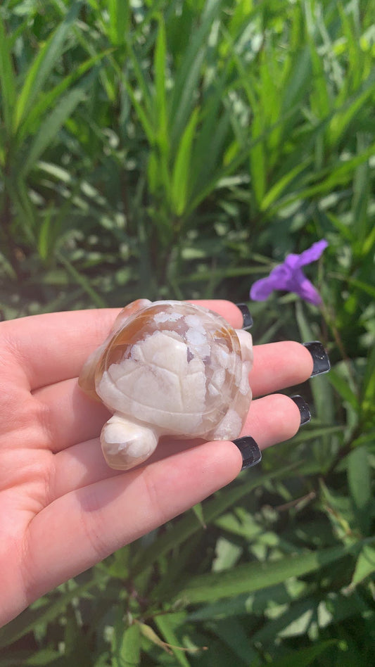 Flower Agate Turtle