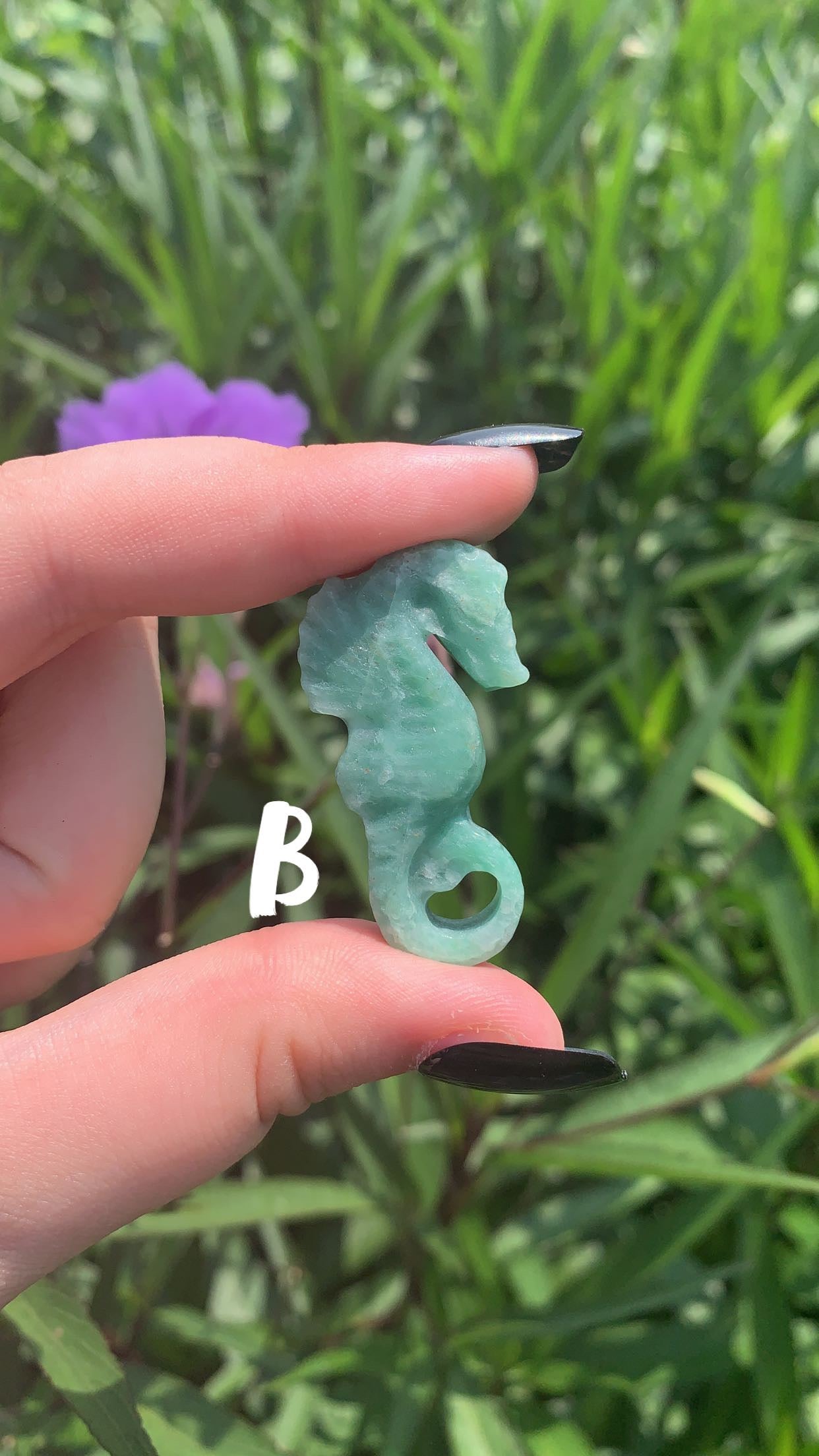 Amazonite Sea Horse